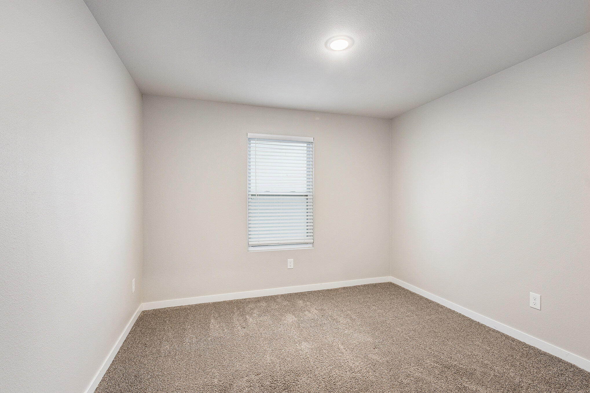 834 Winchester Street Property Photo 15