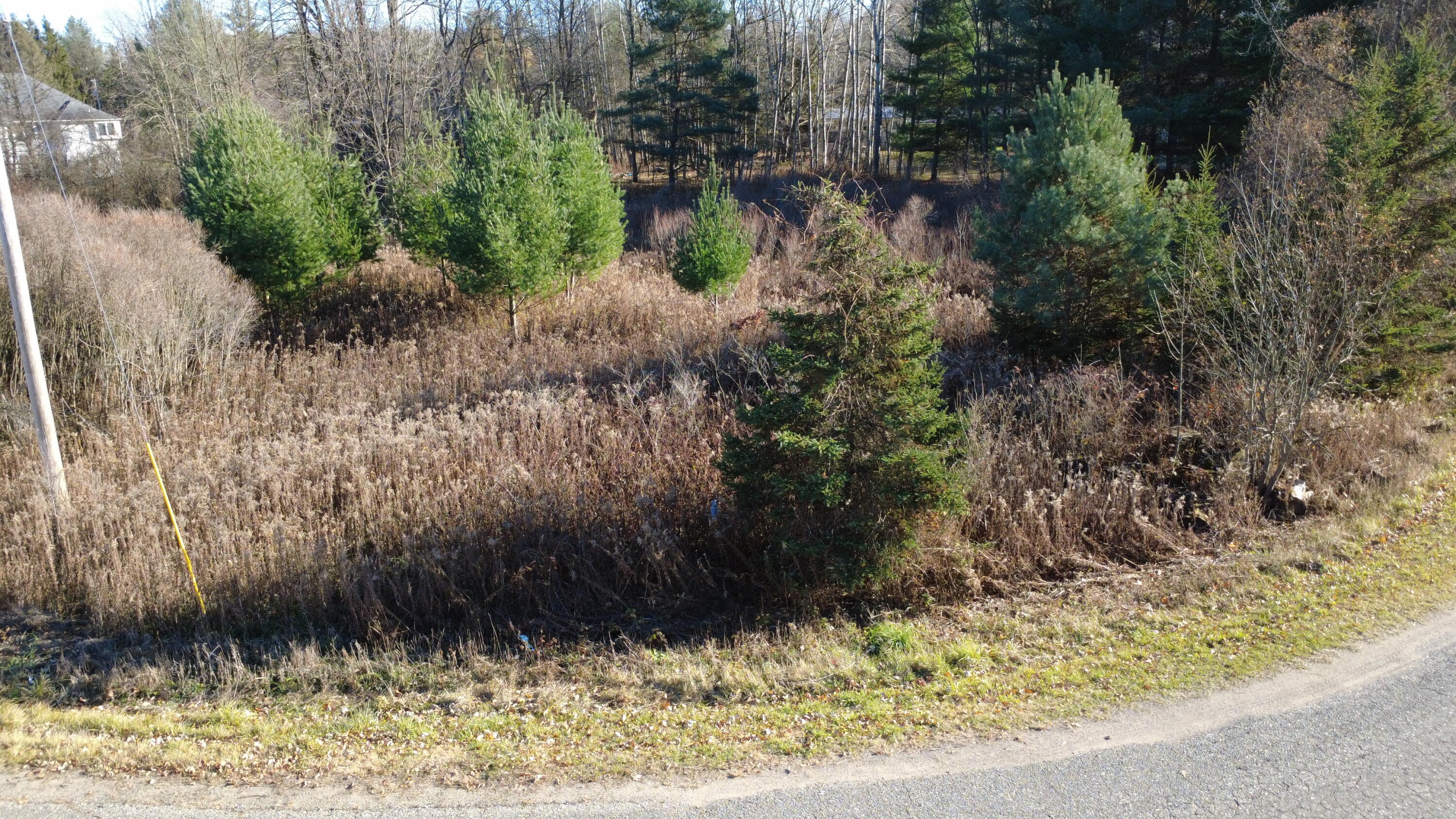 Edgewood Drive Property Photo 4