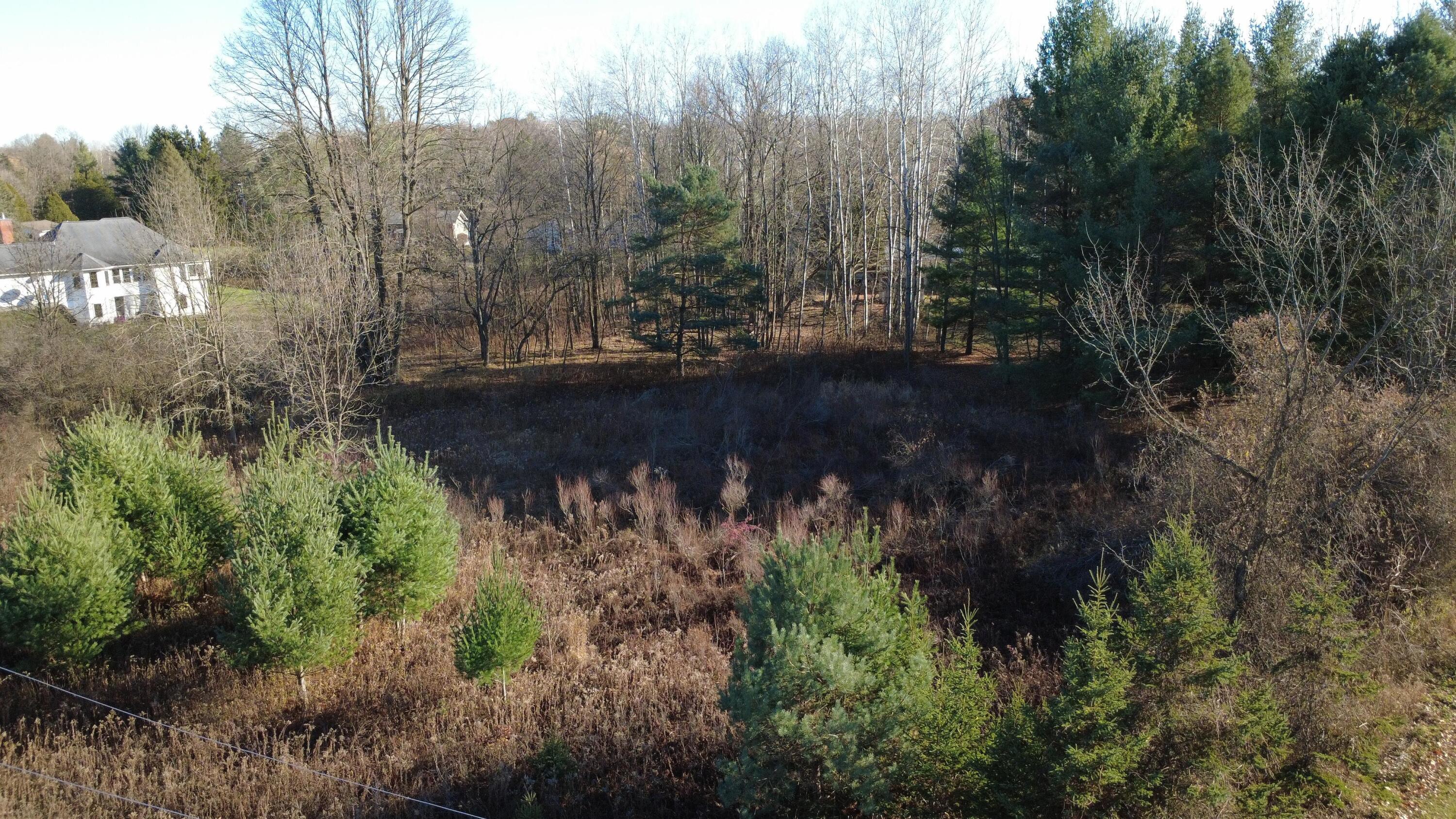 Edgewood Drive Property Photo 5