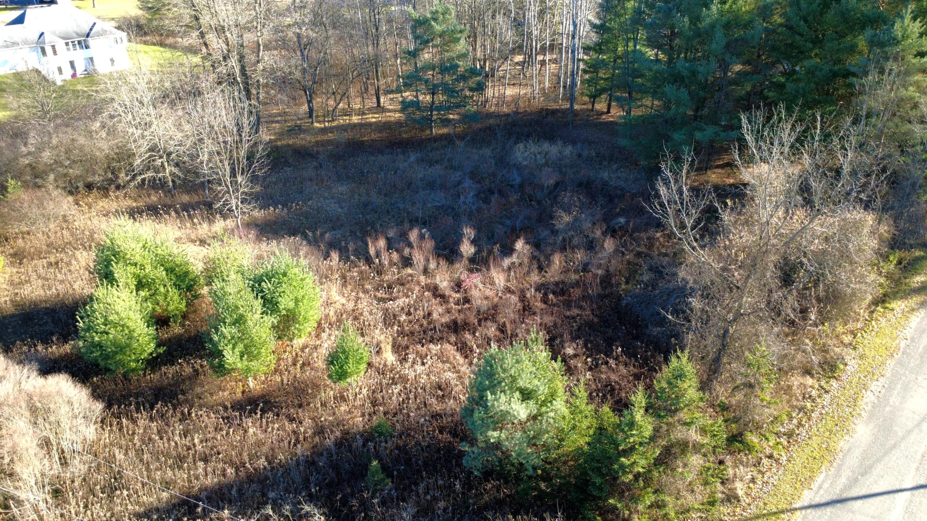 Edgewood Drive Property Photo 6
