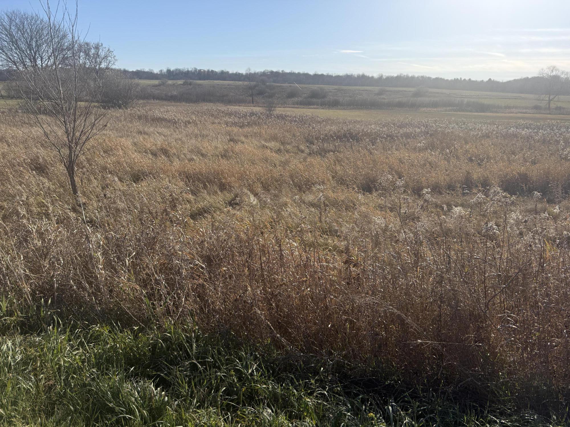 18 Mile Road Property Photo 3