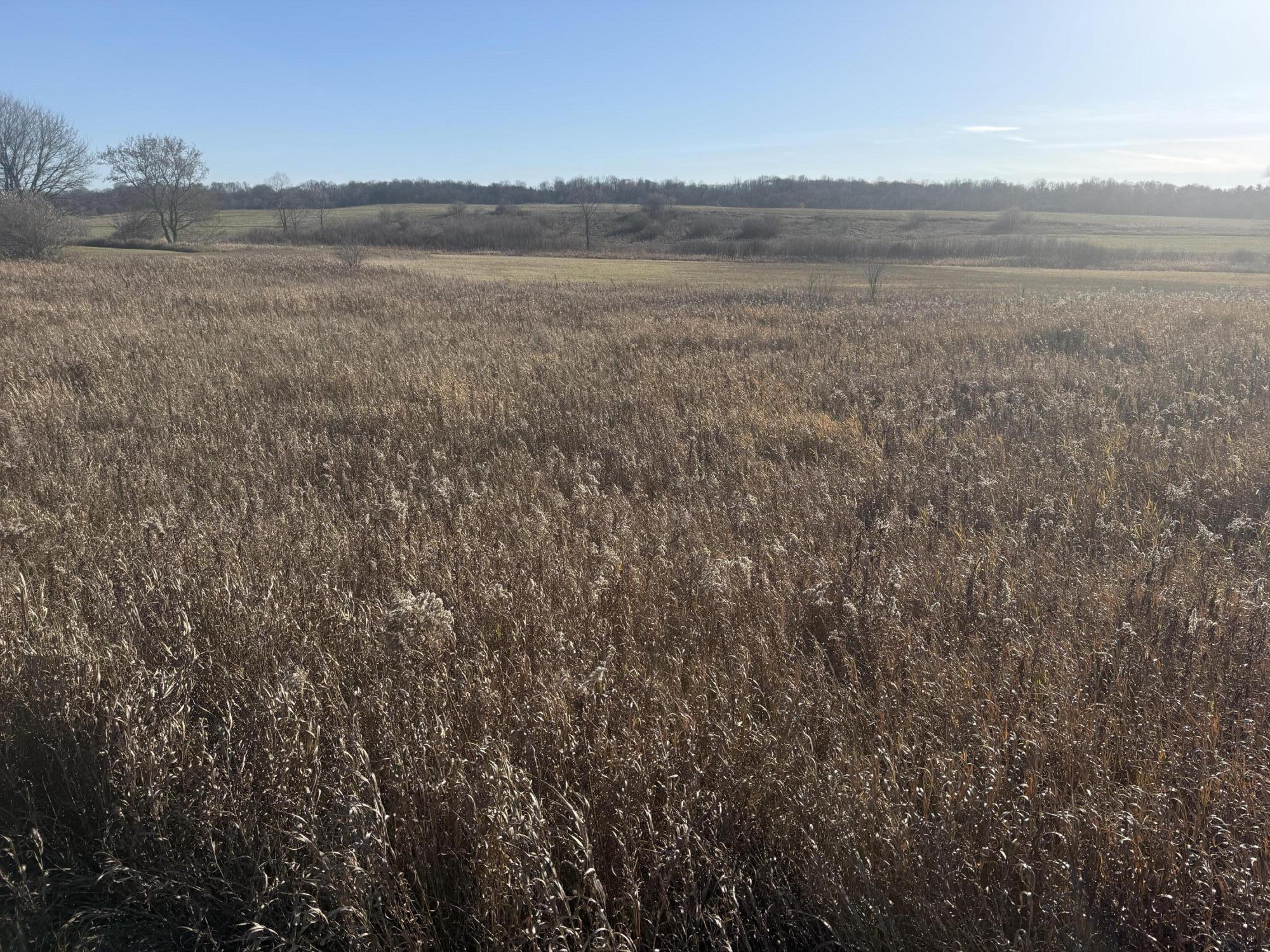 18 Mile Road Property Photo 6