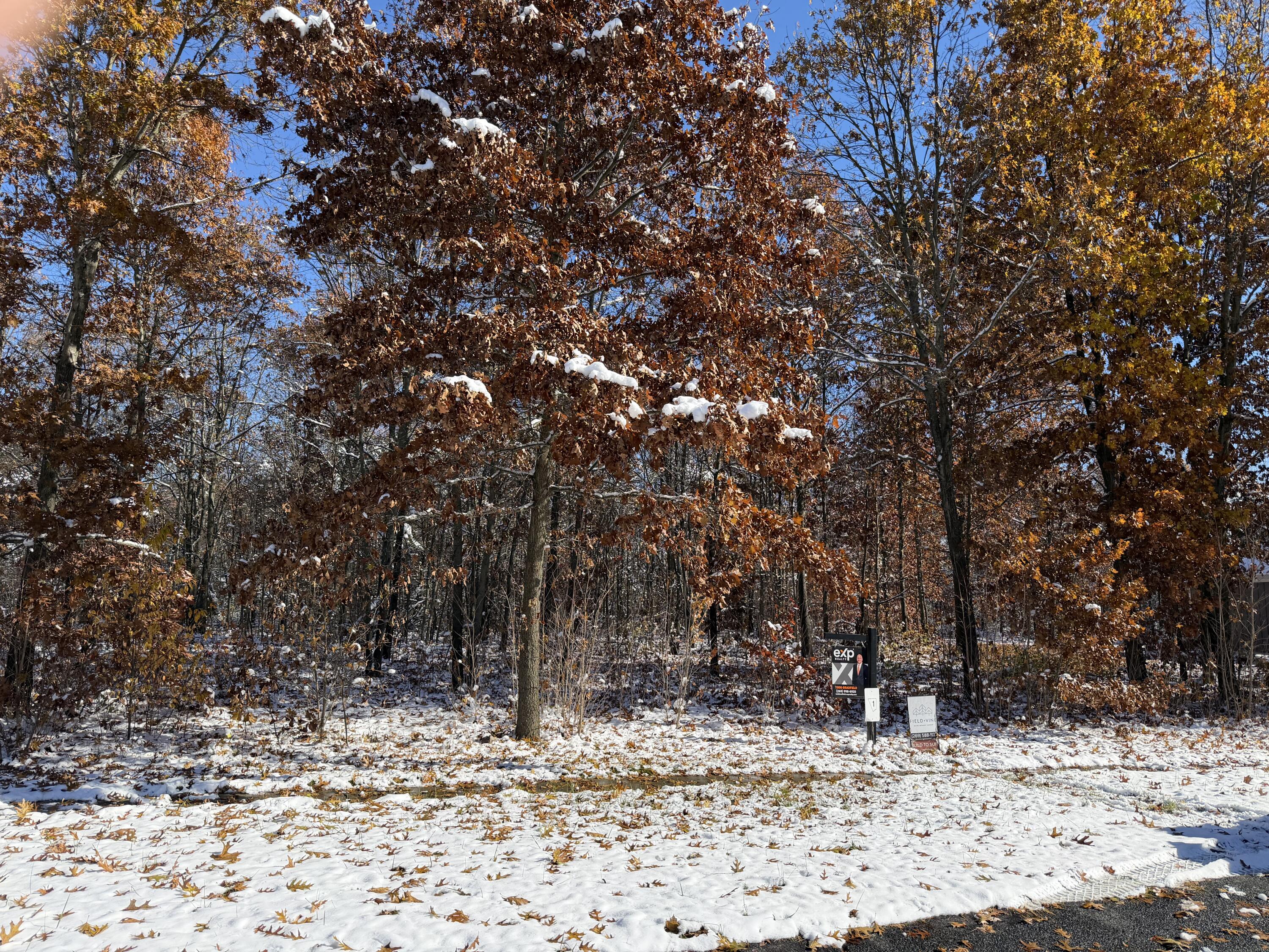 1301 Haven Way Property Photo 1