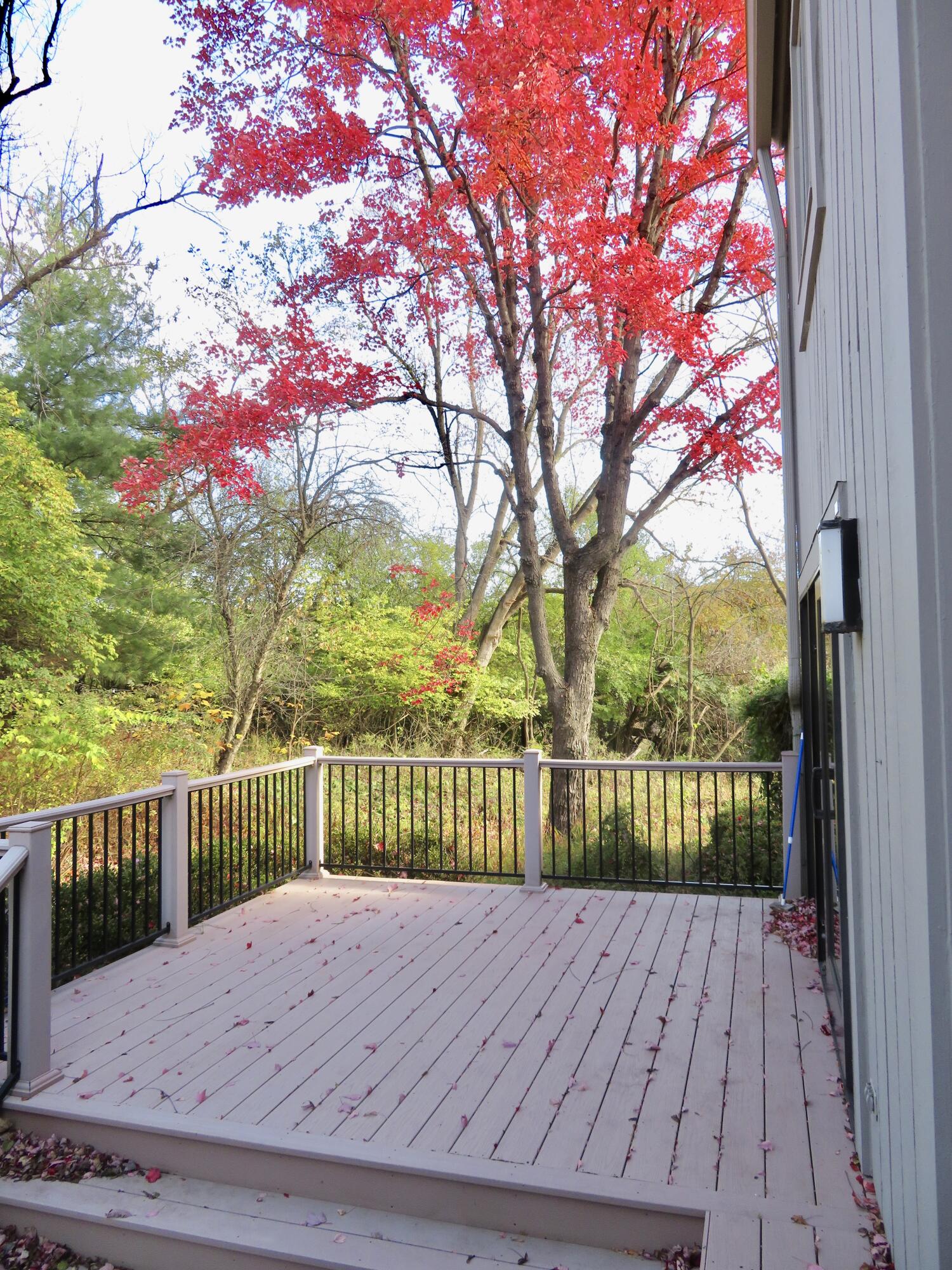 2134 Overlook Court Property Photo 5