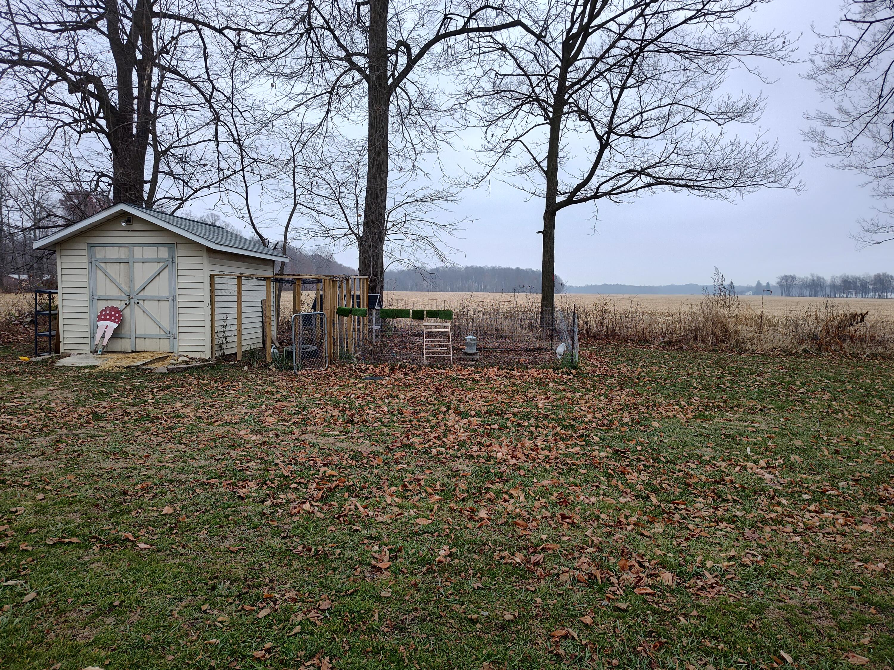 1233 Robinson Road Property Photo 37