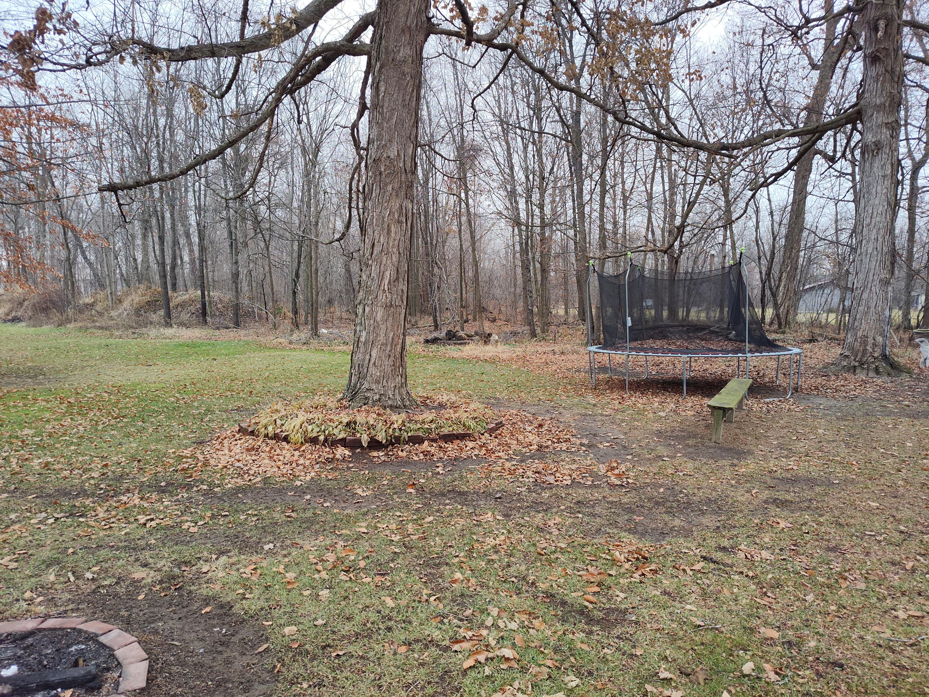 1233 Robinson Road Property Photo 38