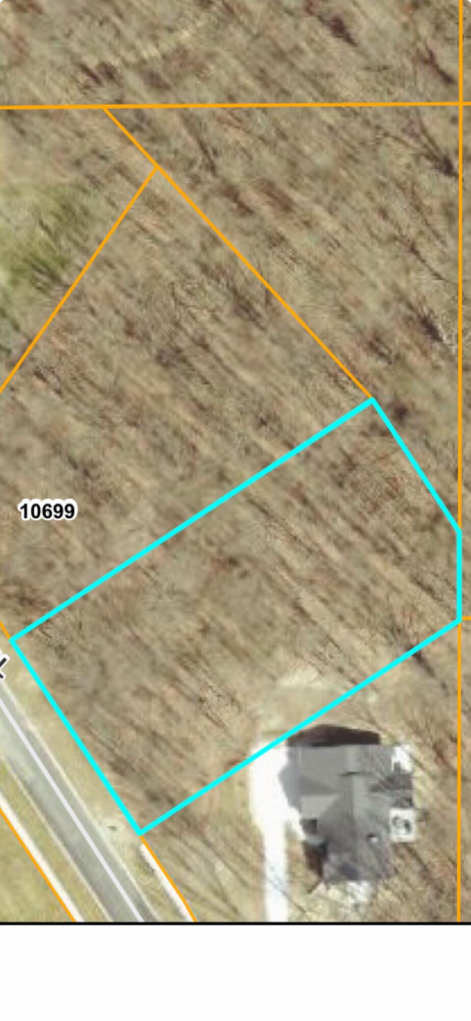 10711 Mystic Heights Trail Property Photo 2