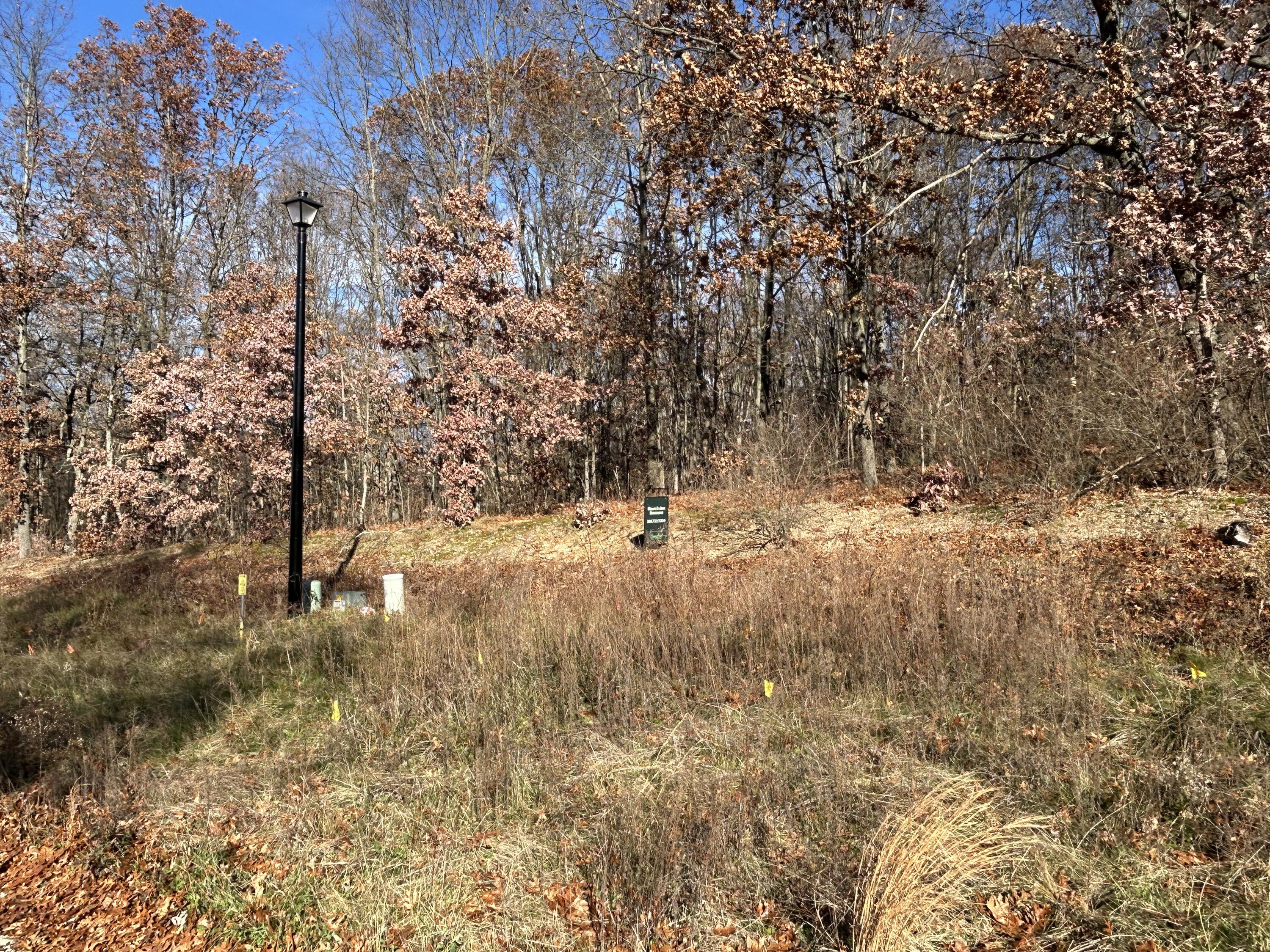 10711 Mystic Heights Trail Property Photo 3