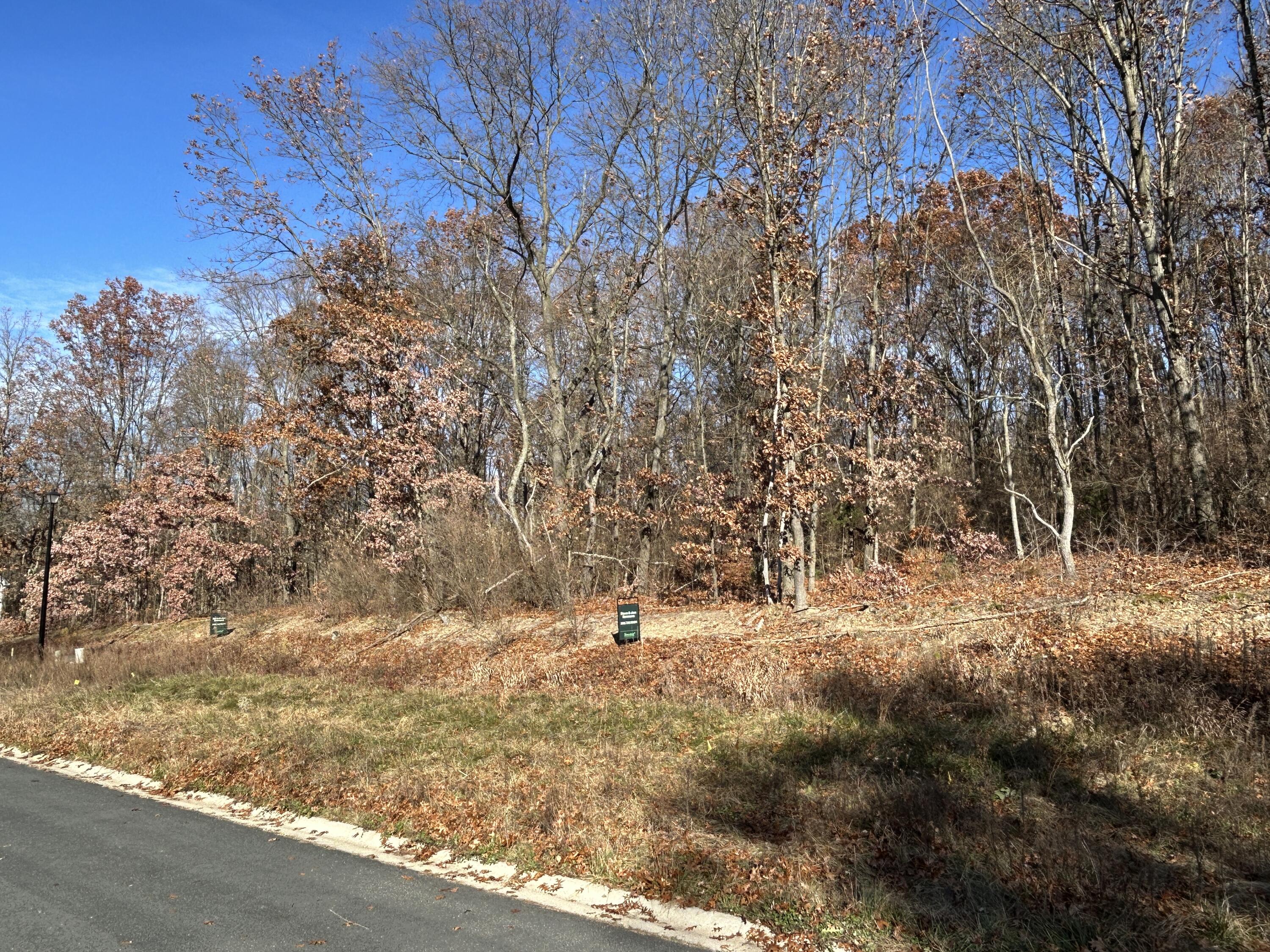 10711 Mystic Heights Trail Property Photo 4