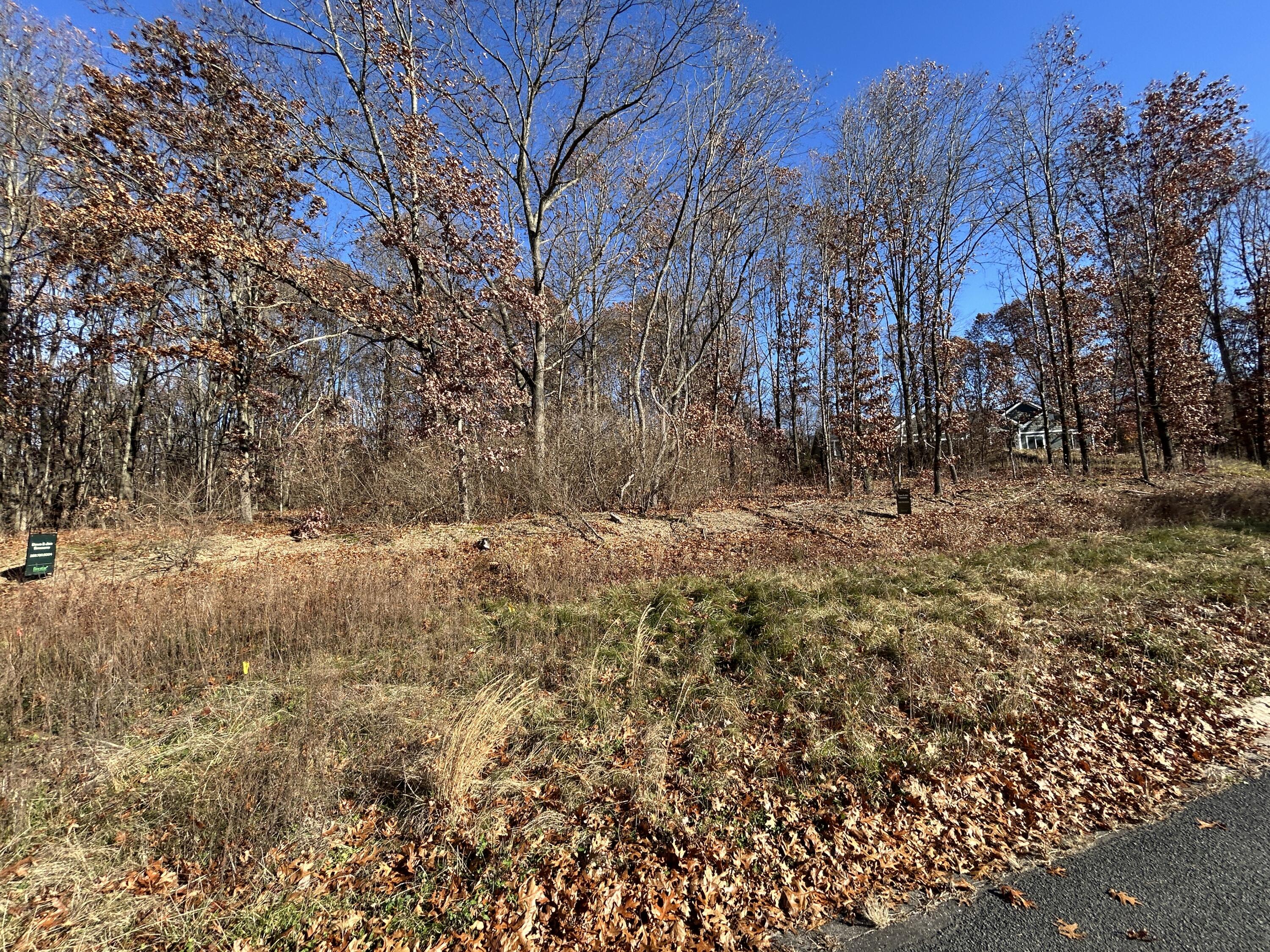 10711 Mystic Heights Trail Property Photo 6