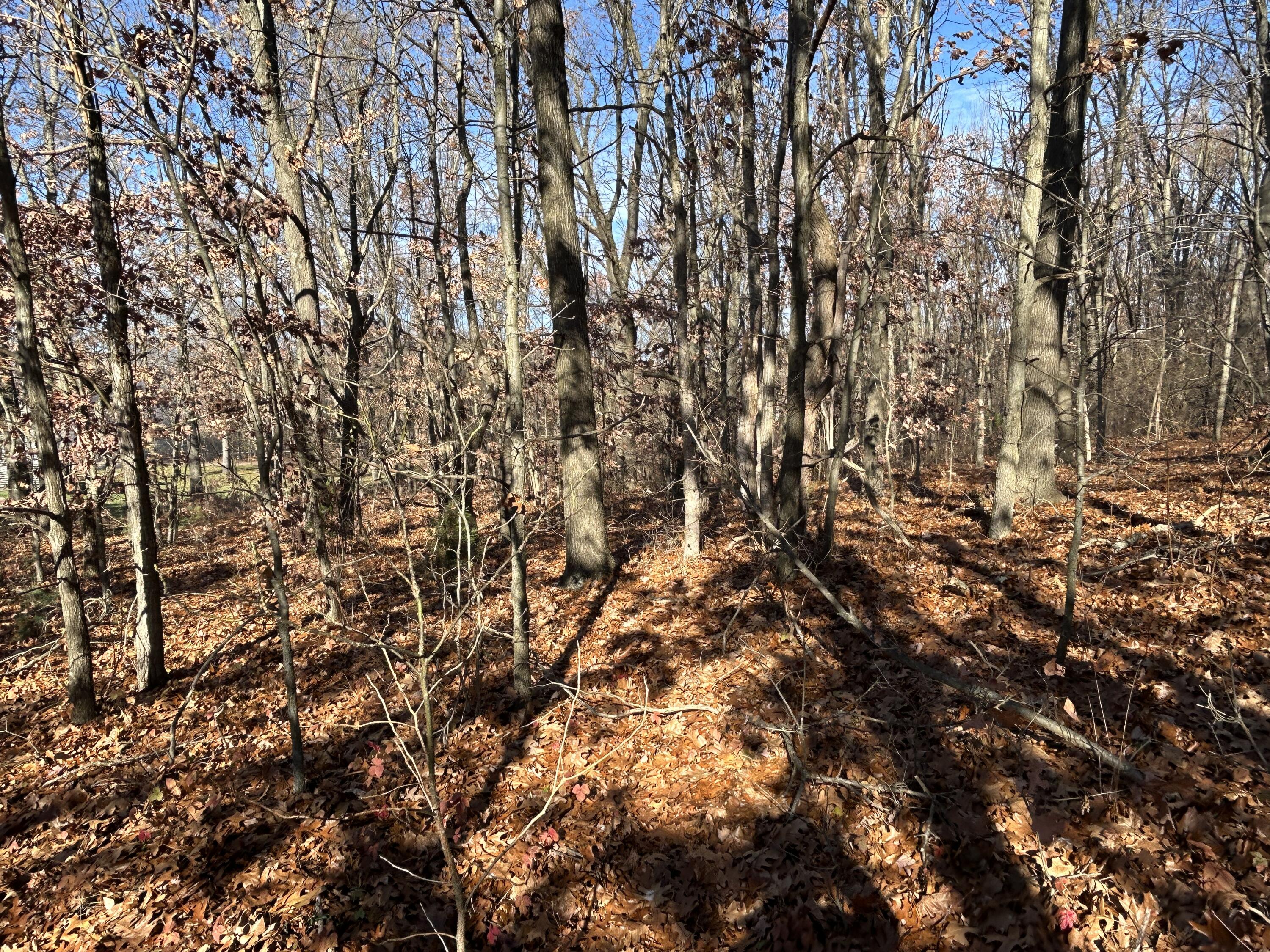 10711 Mystic Heights Trail Property Photo 7