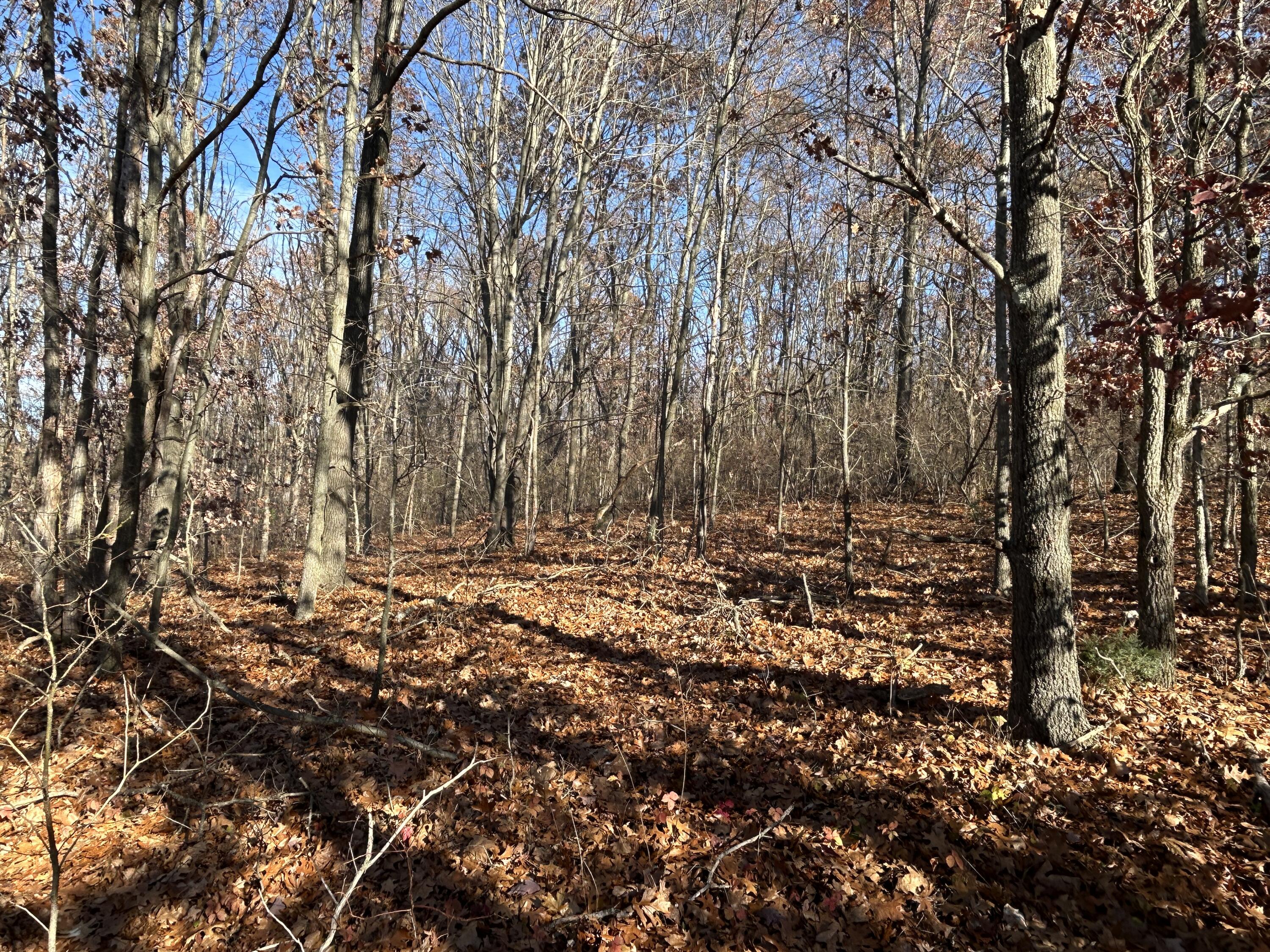 10711 Mystic Heights Trail Property Photo 9