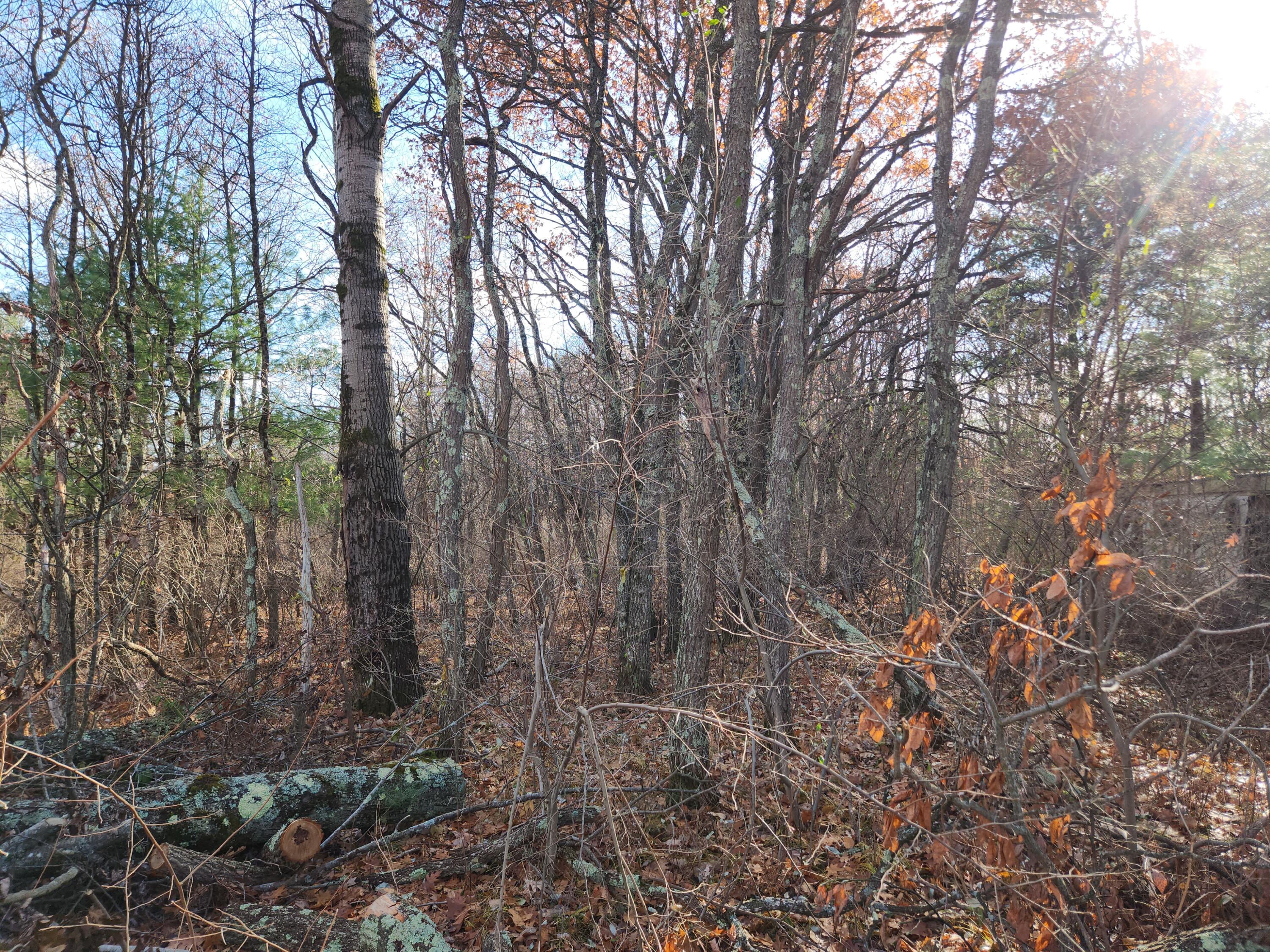 Vl Us-10 Nw Property Photo 2
