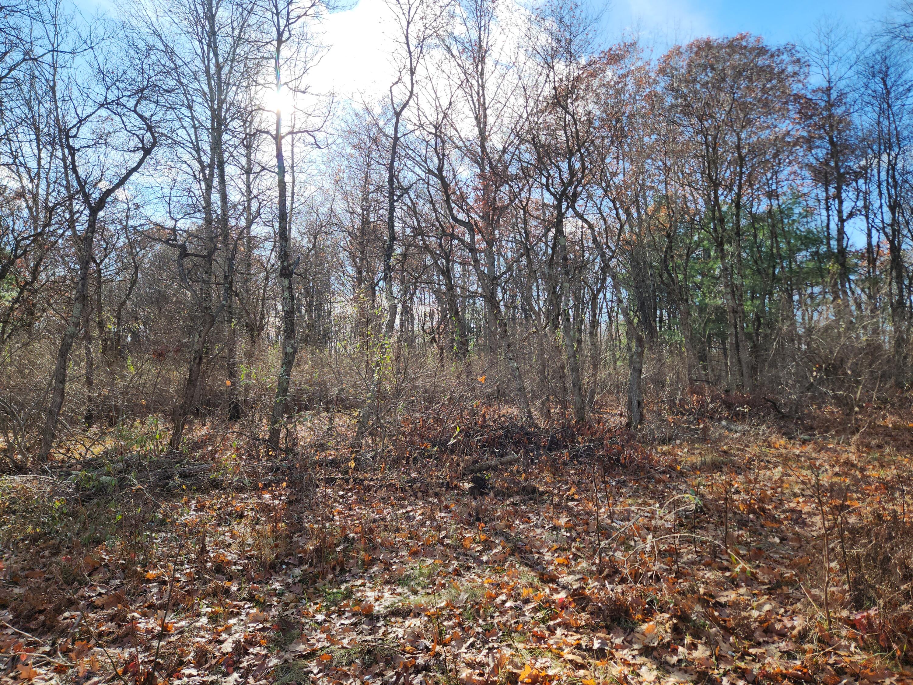 Vl Us-10 Nw Property Photo 3