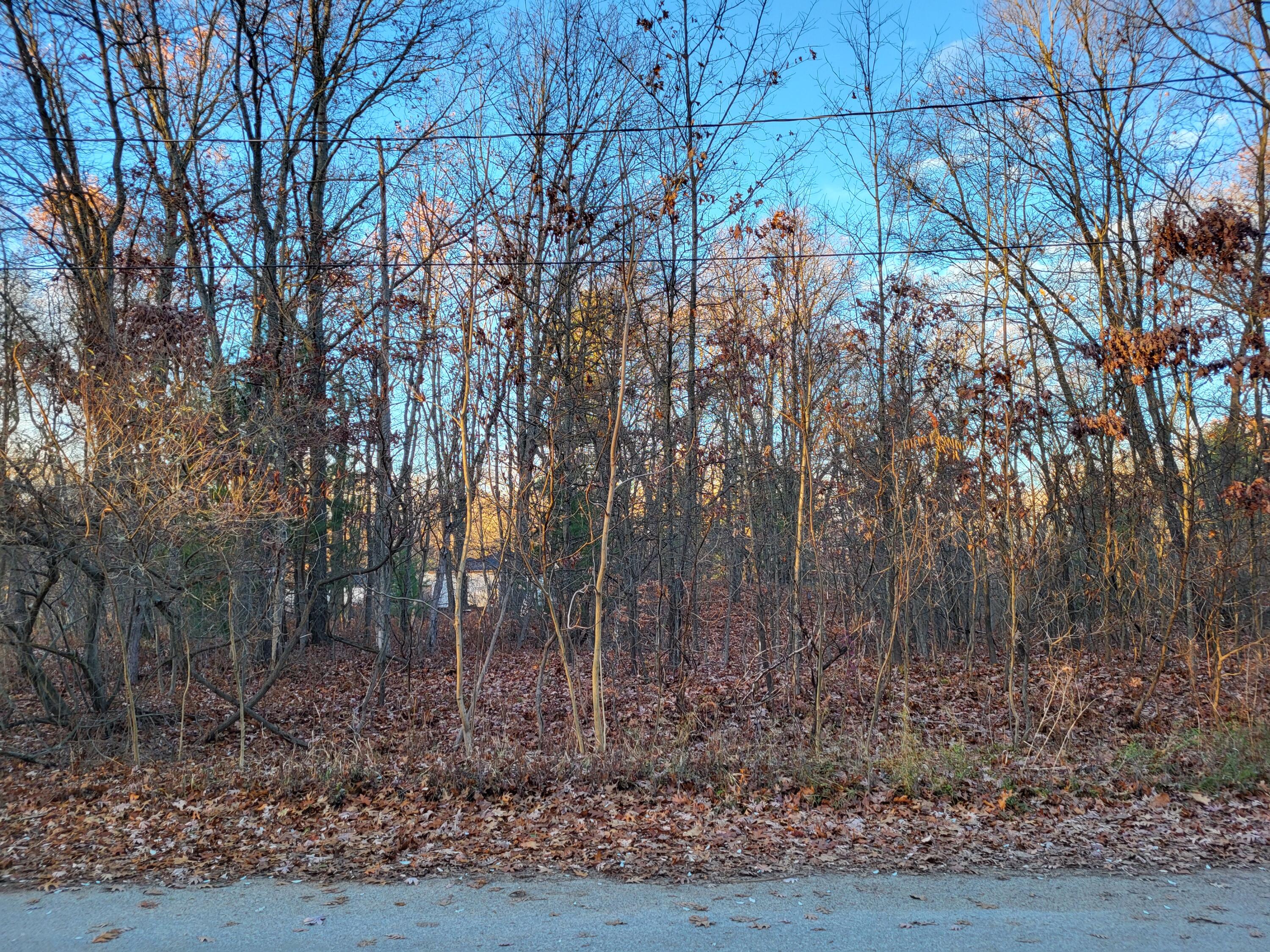 186 Vernon Avenue Property Photo 1