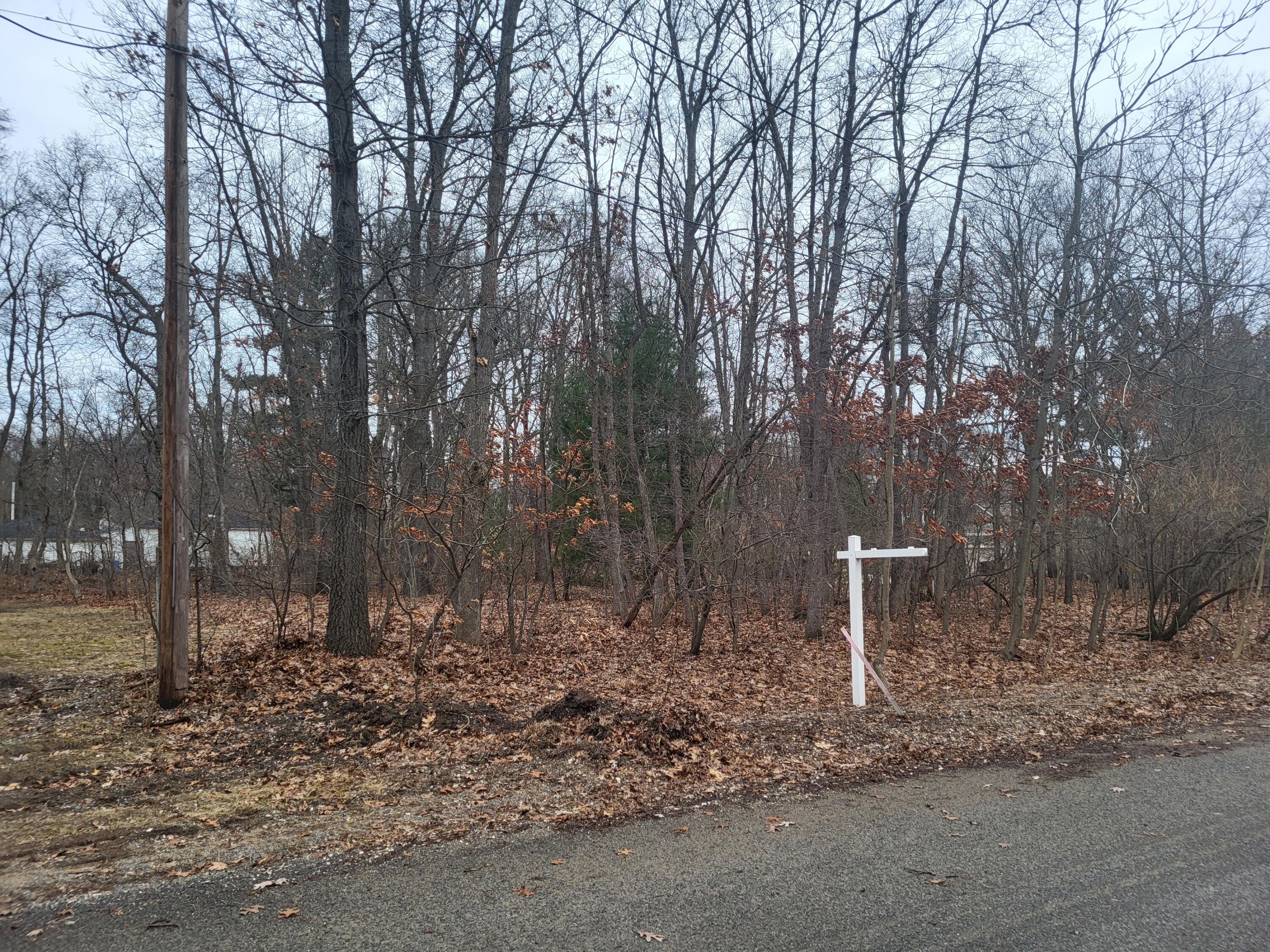 186 Vernon Avenue Property Photo 2