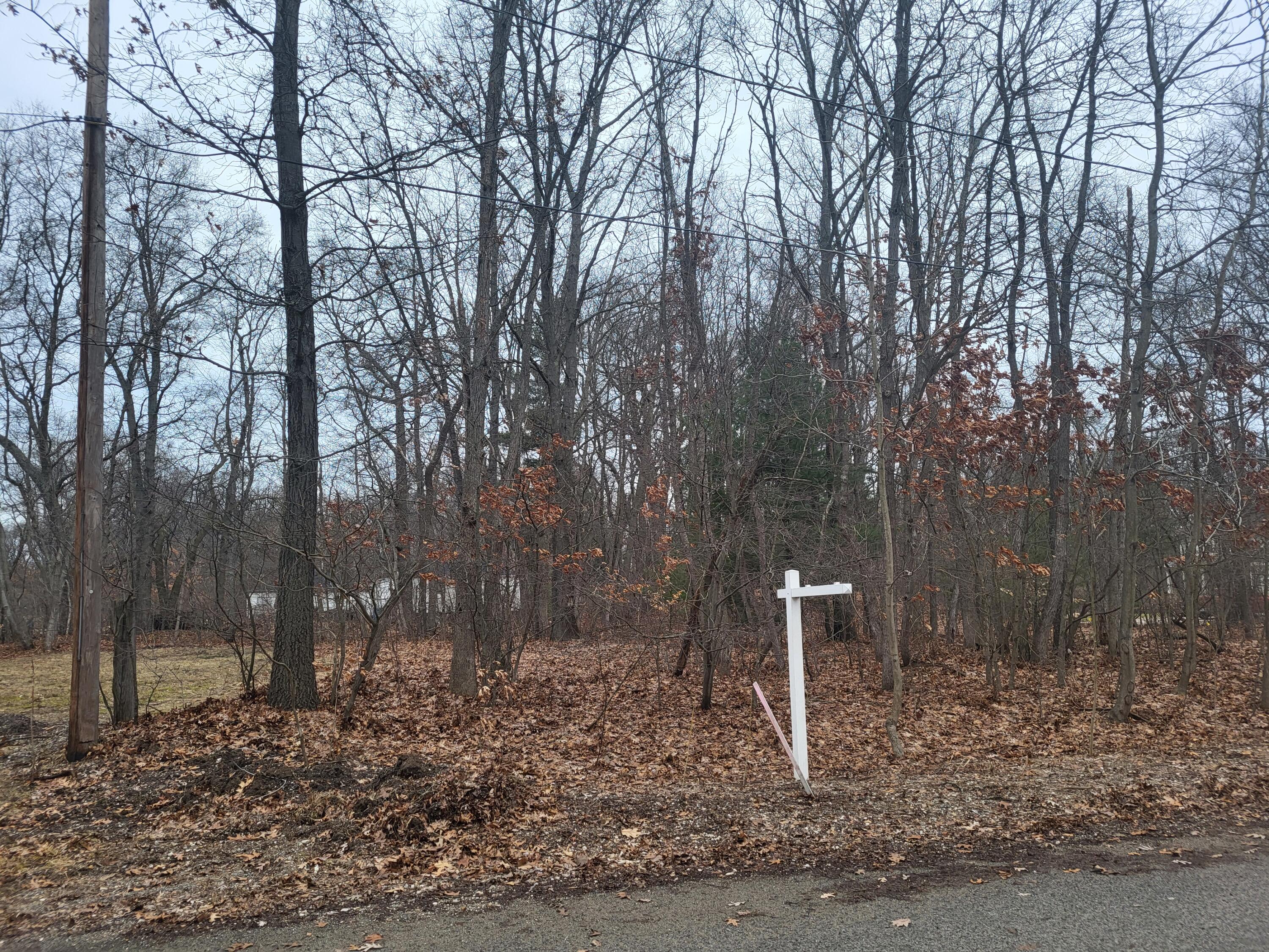186 Vernon Avenue Property Photo 3
