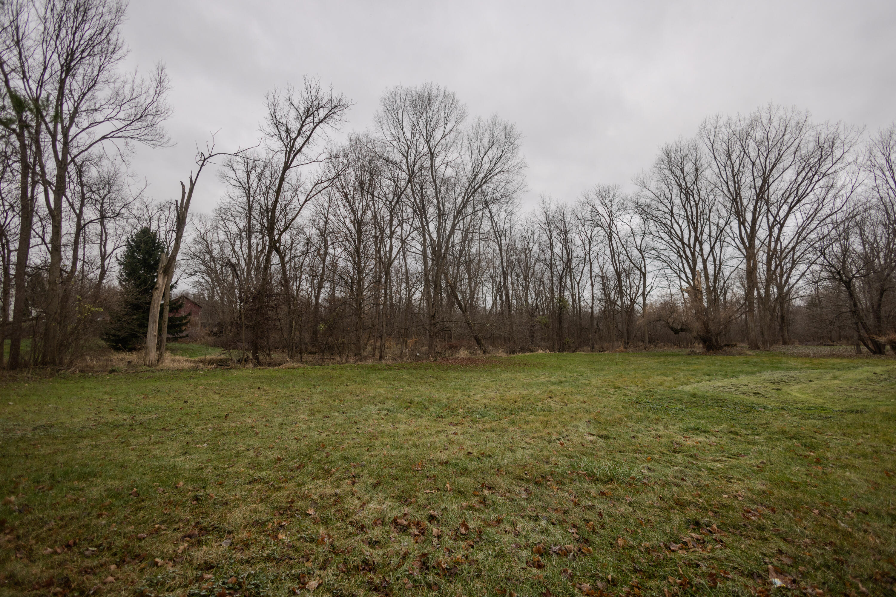 11102 S 34th Street Property Photo 4