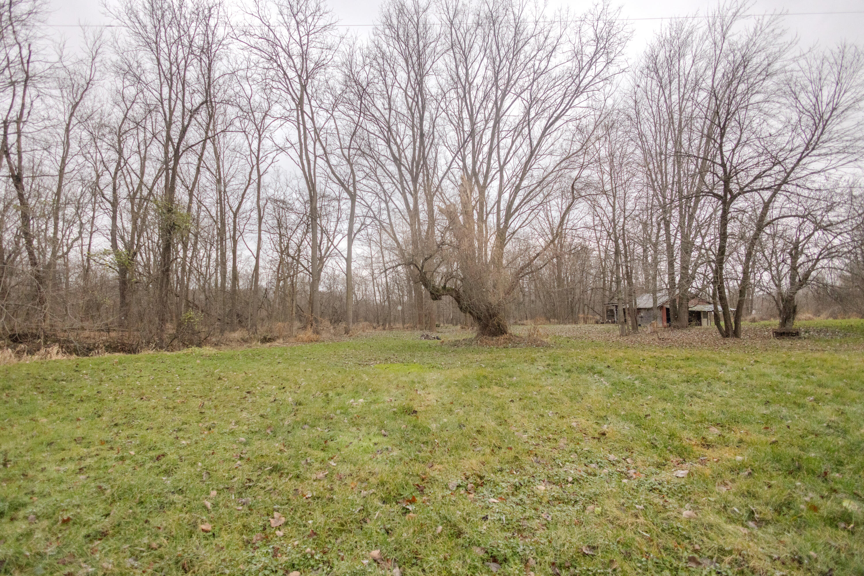 11102 S 34th Street Property Photo 9