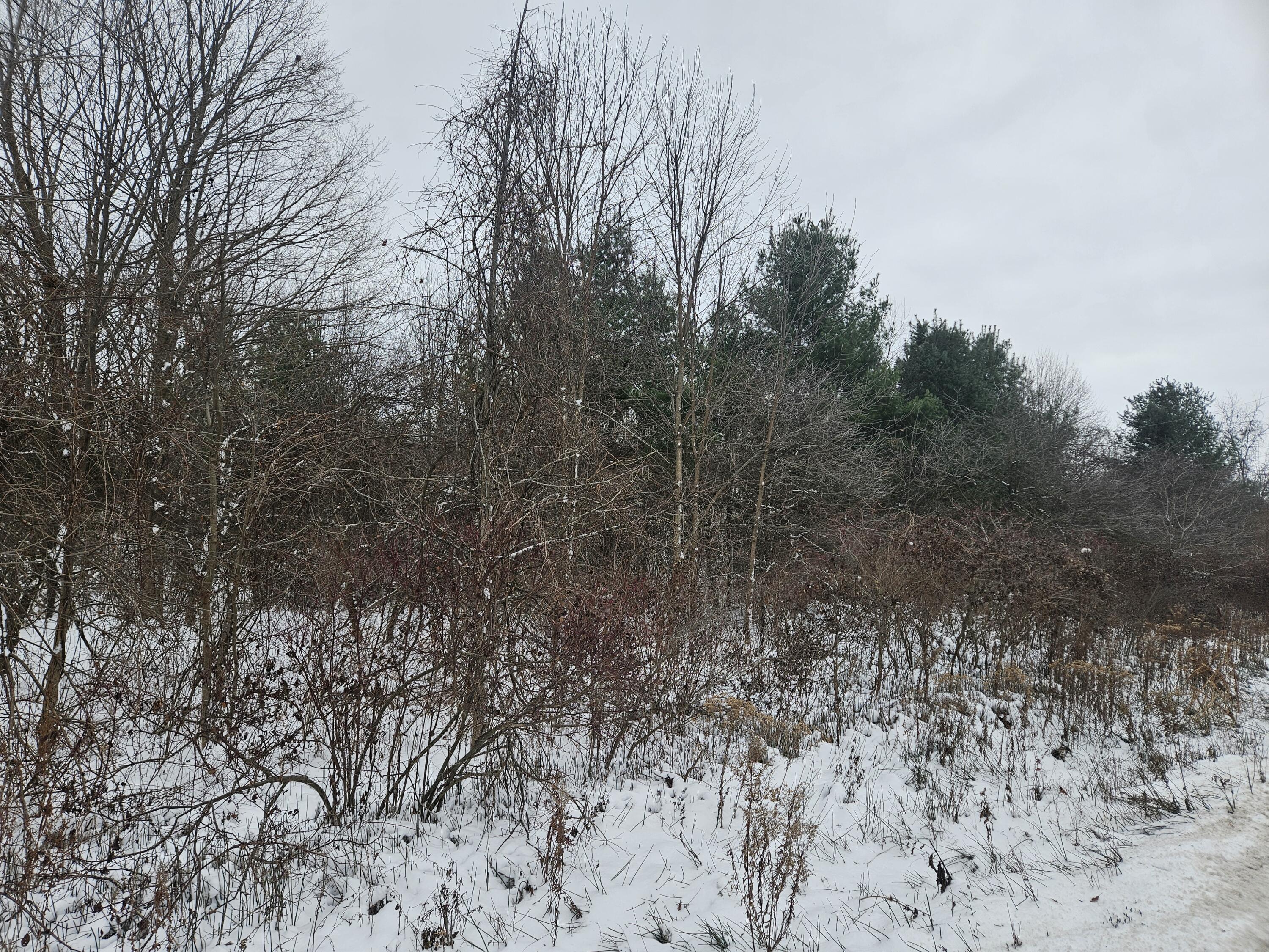 11298 S Gordon Avenue Property Photo 11