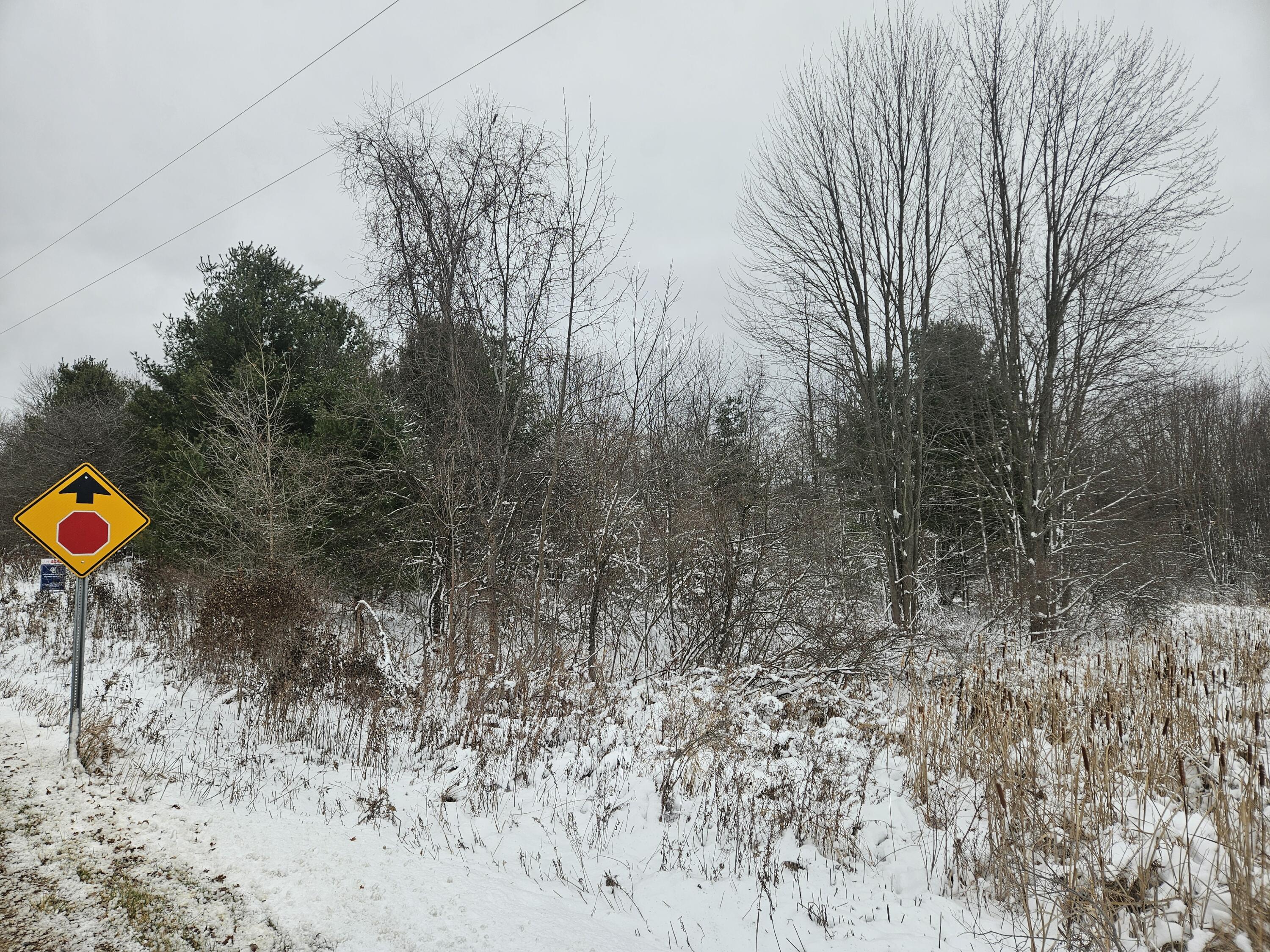 11298 S Gordon Avenue Property Photo 16