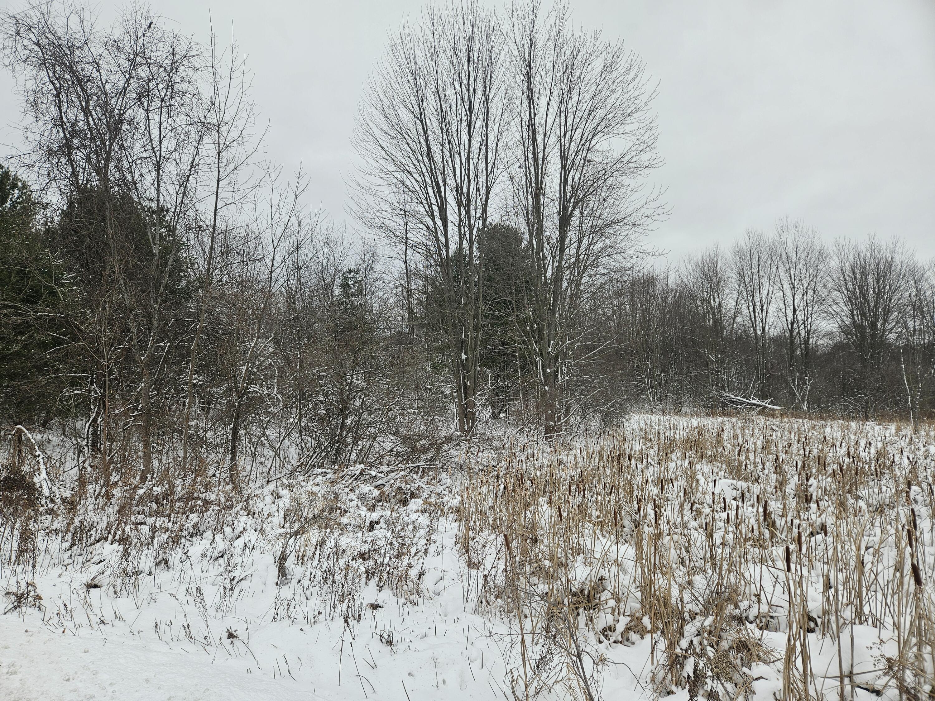 11298 S Gordon Avenue Property Photo 17