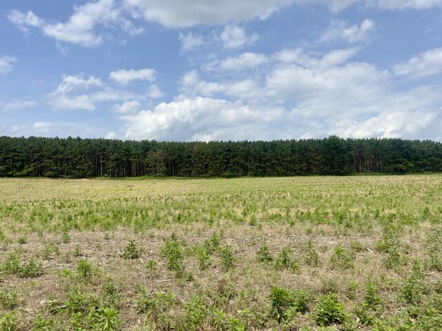 0 Seymour #e Road Property Photo 1