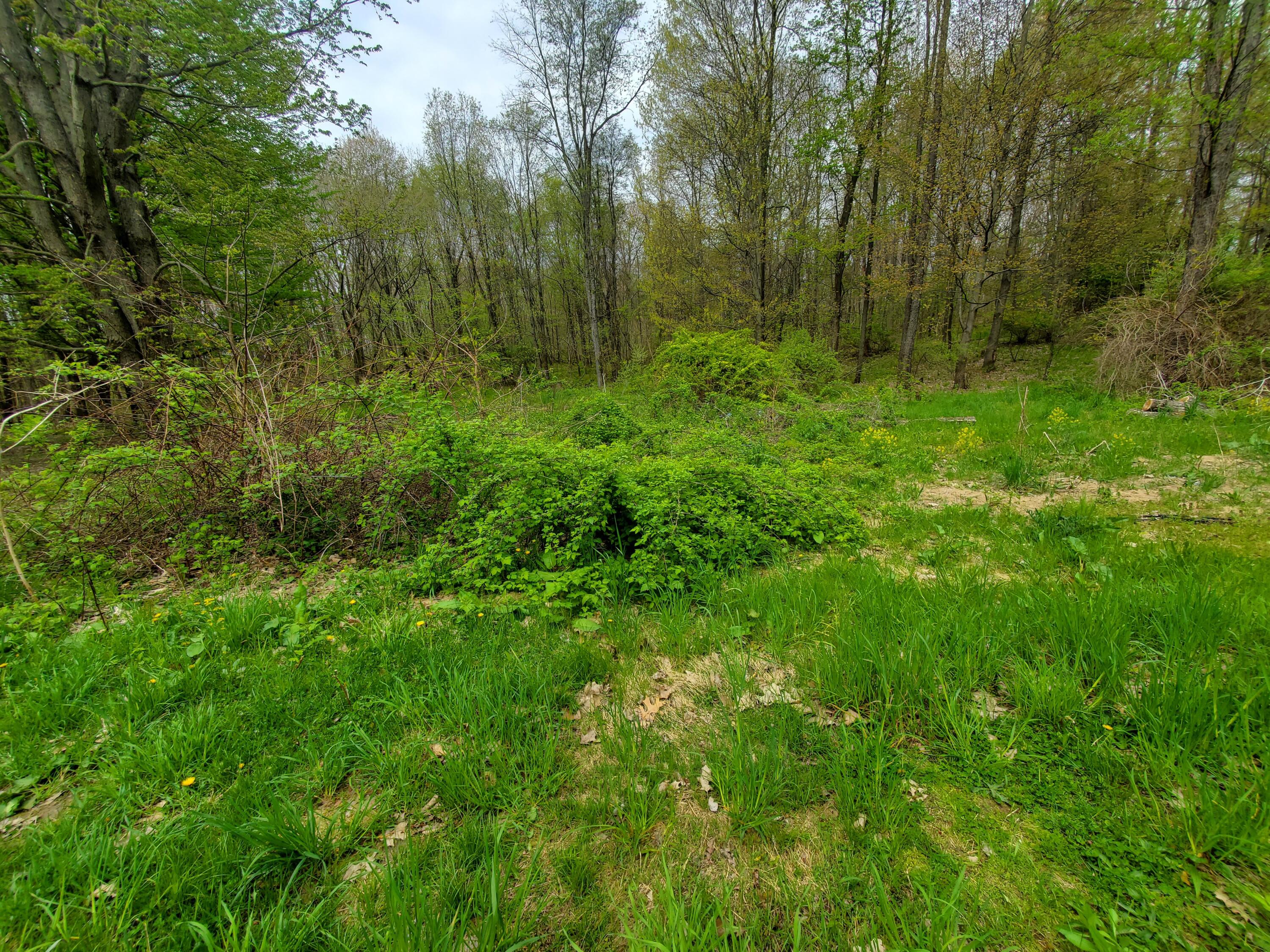 1707 W Bristol Road Property Photo 17