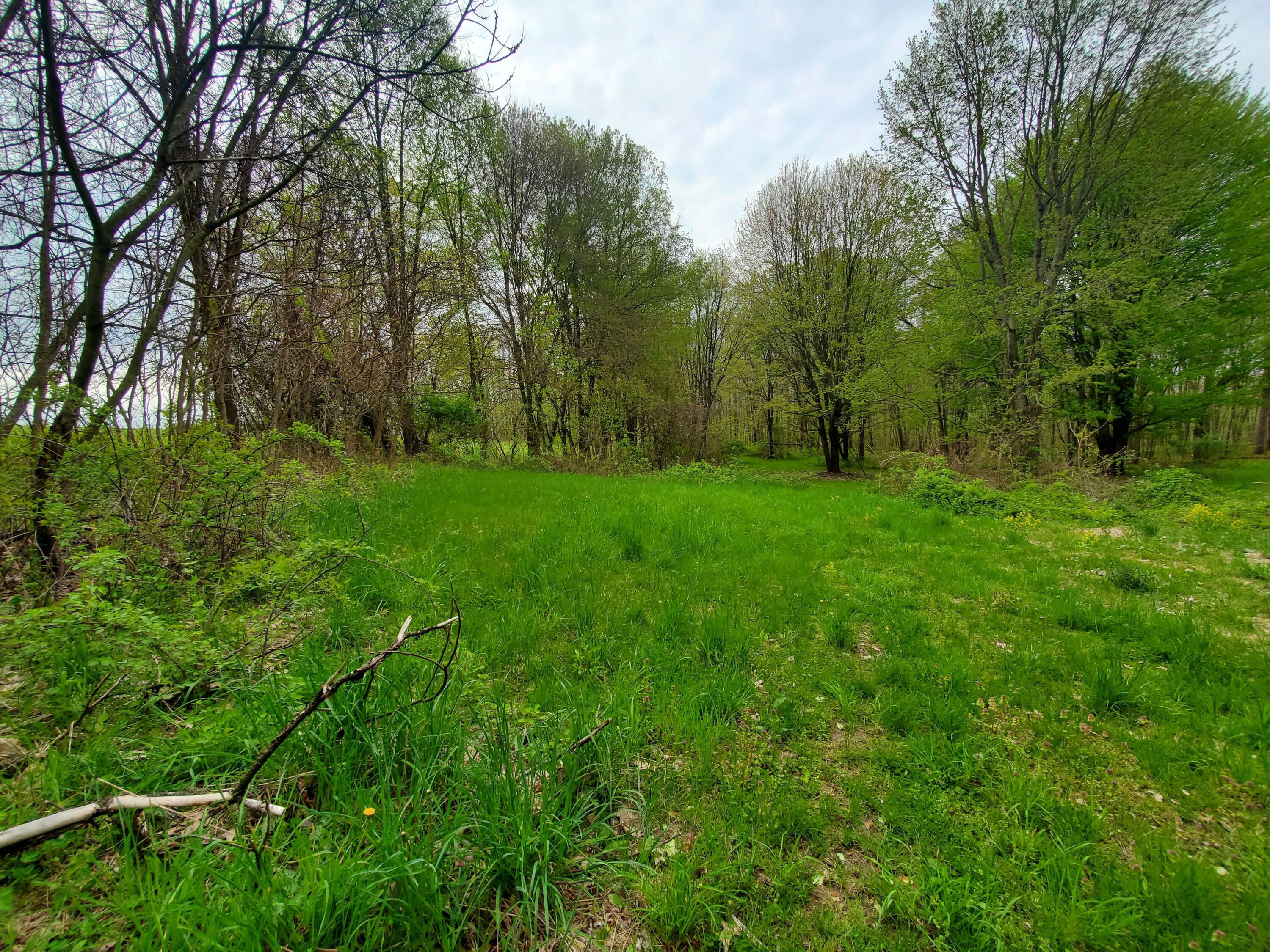 1707 W Bristol Road Property Photo 18