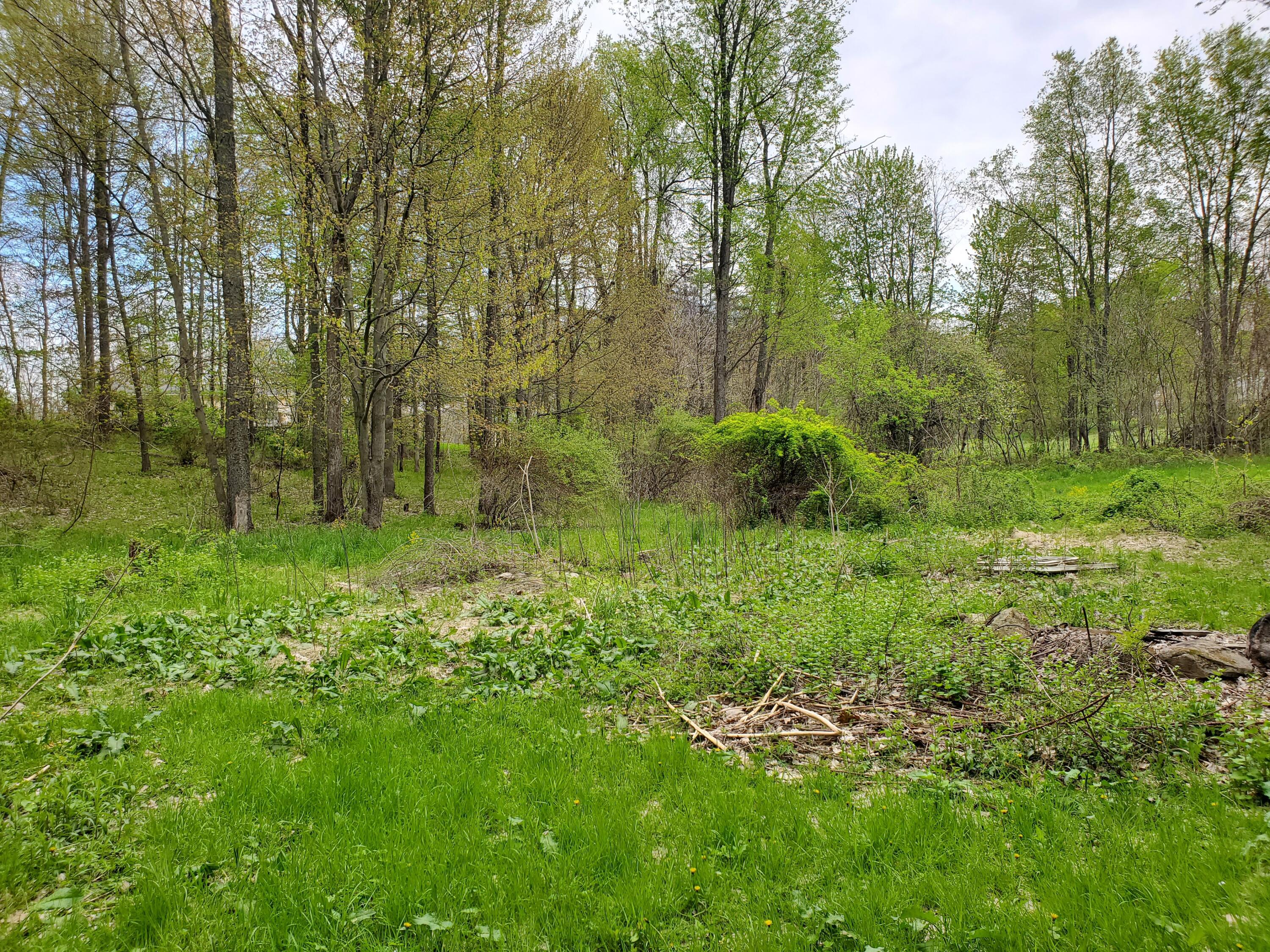 1707 W Bristol Road Property Photo 22