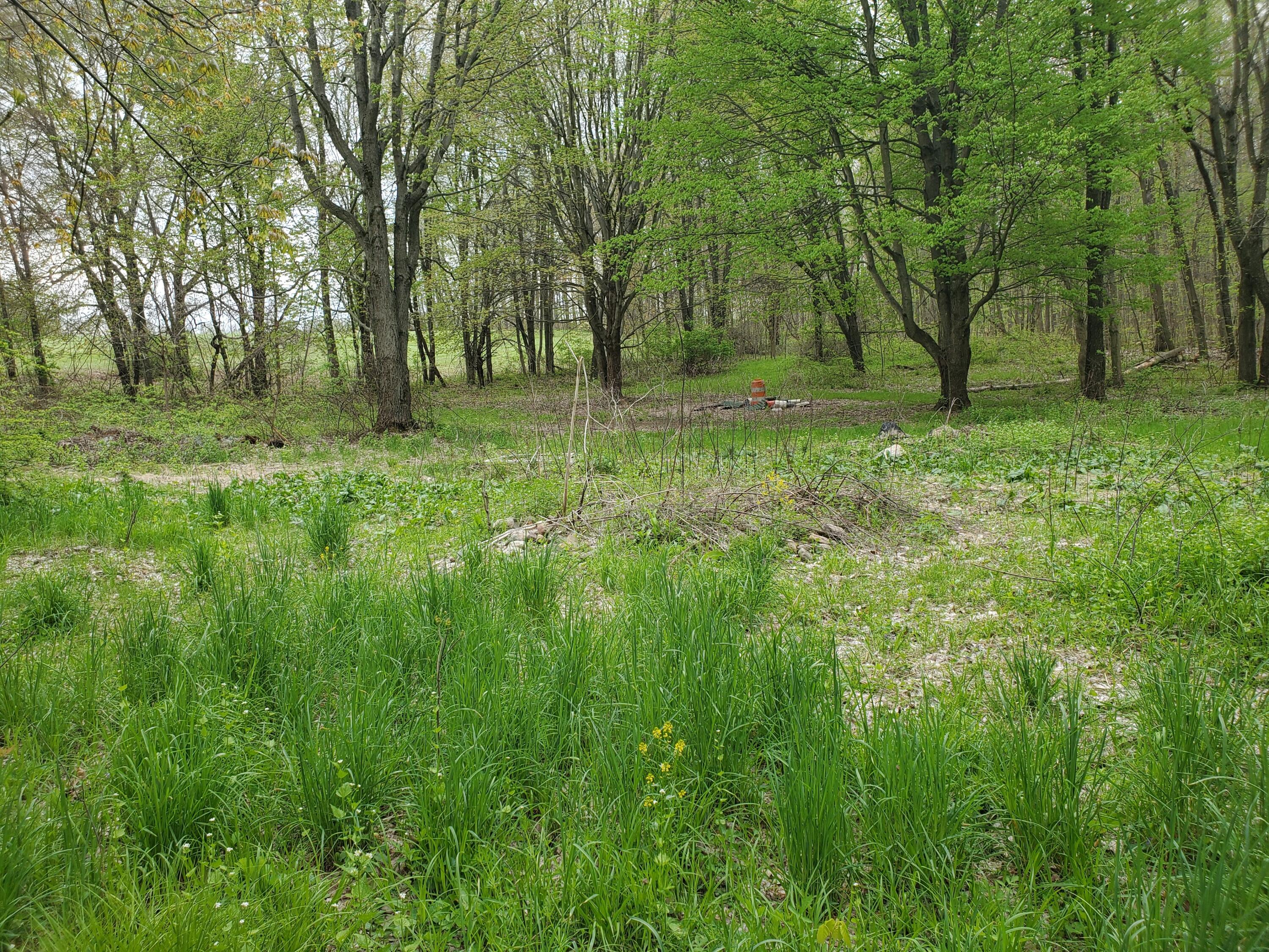 1707 W Bristol Road Property Photo 24