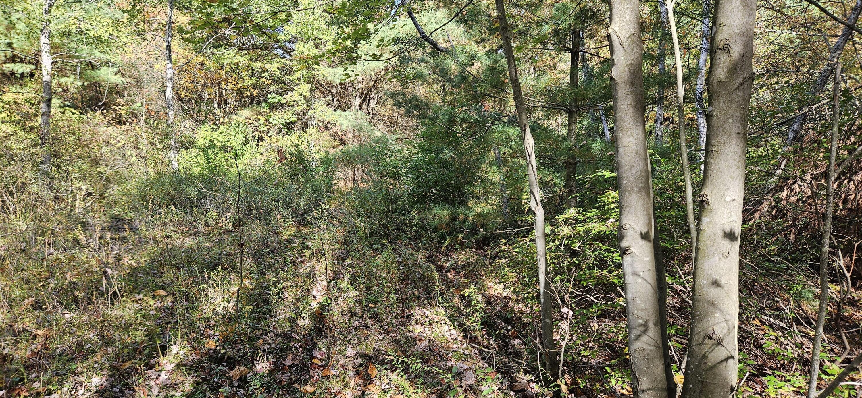 1100 E Bard Property Photo 11