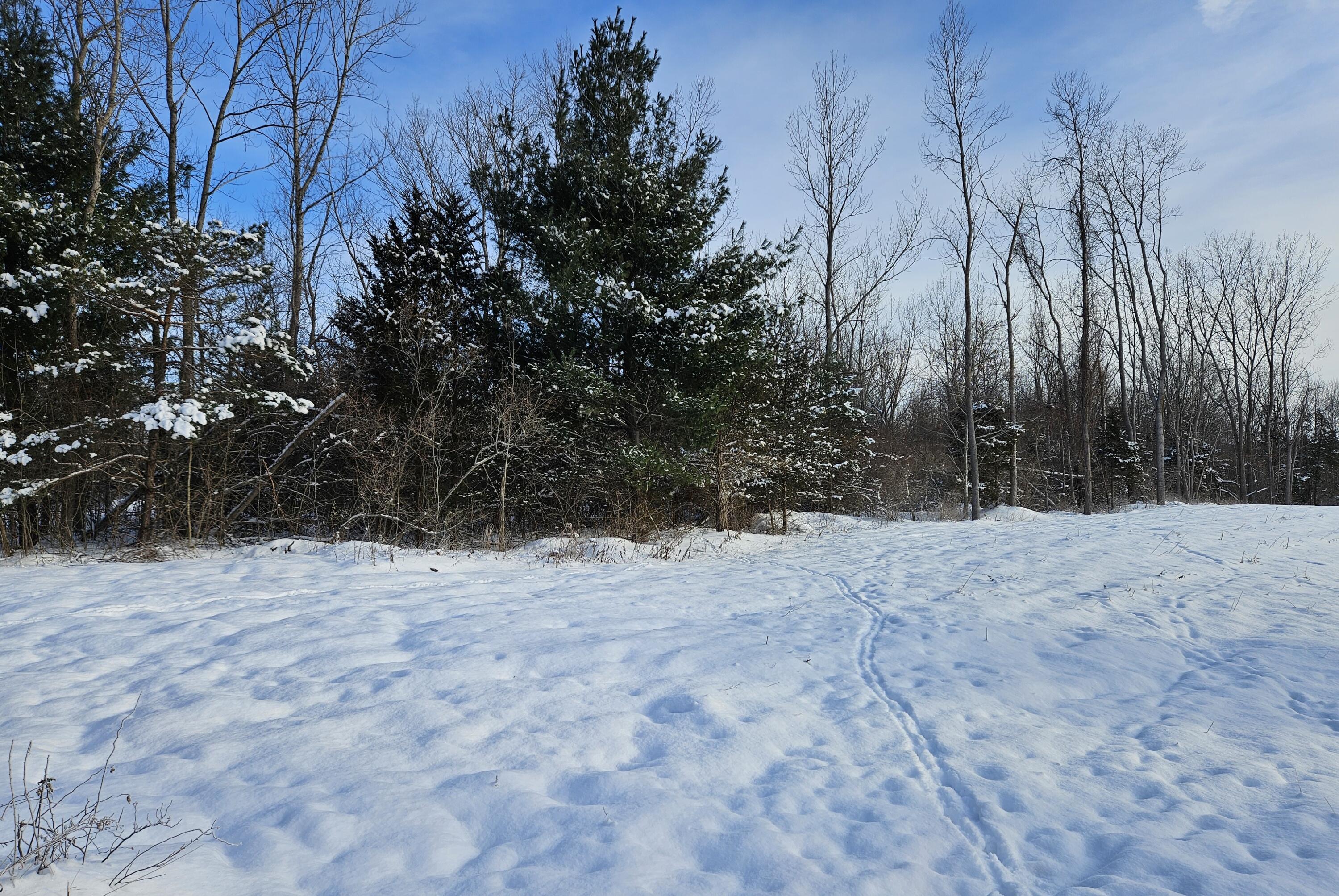 14th Avenue Parcel D Property Photo 10