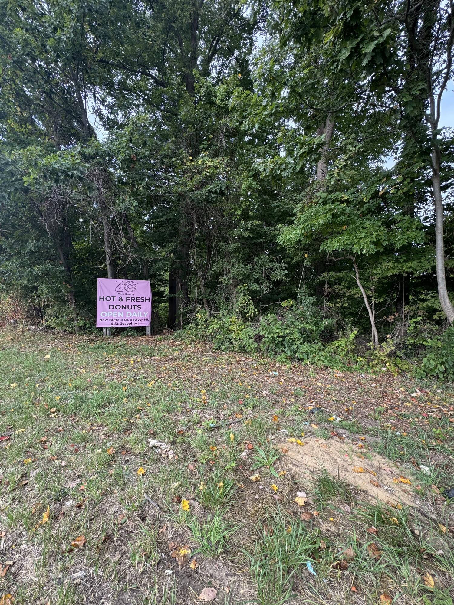 7352 Red Arrow Highway Property Photo 1