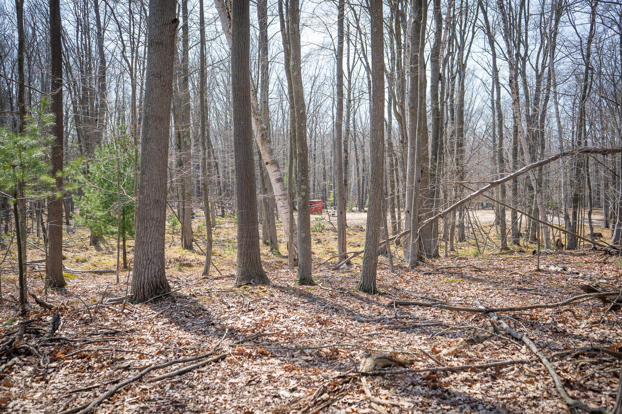 4986 N Ridge Road Property Photo 23