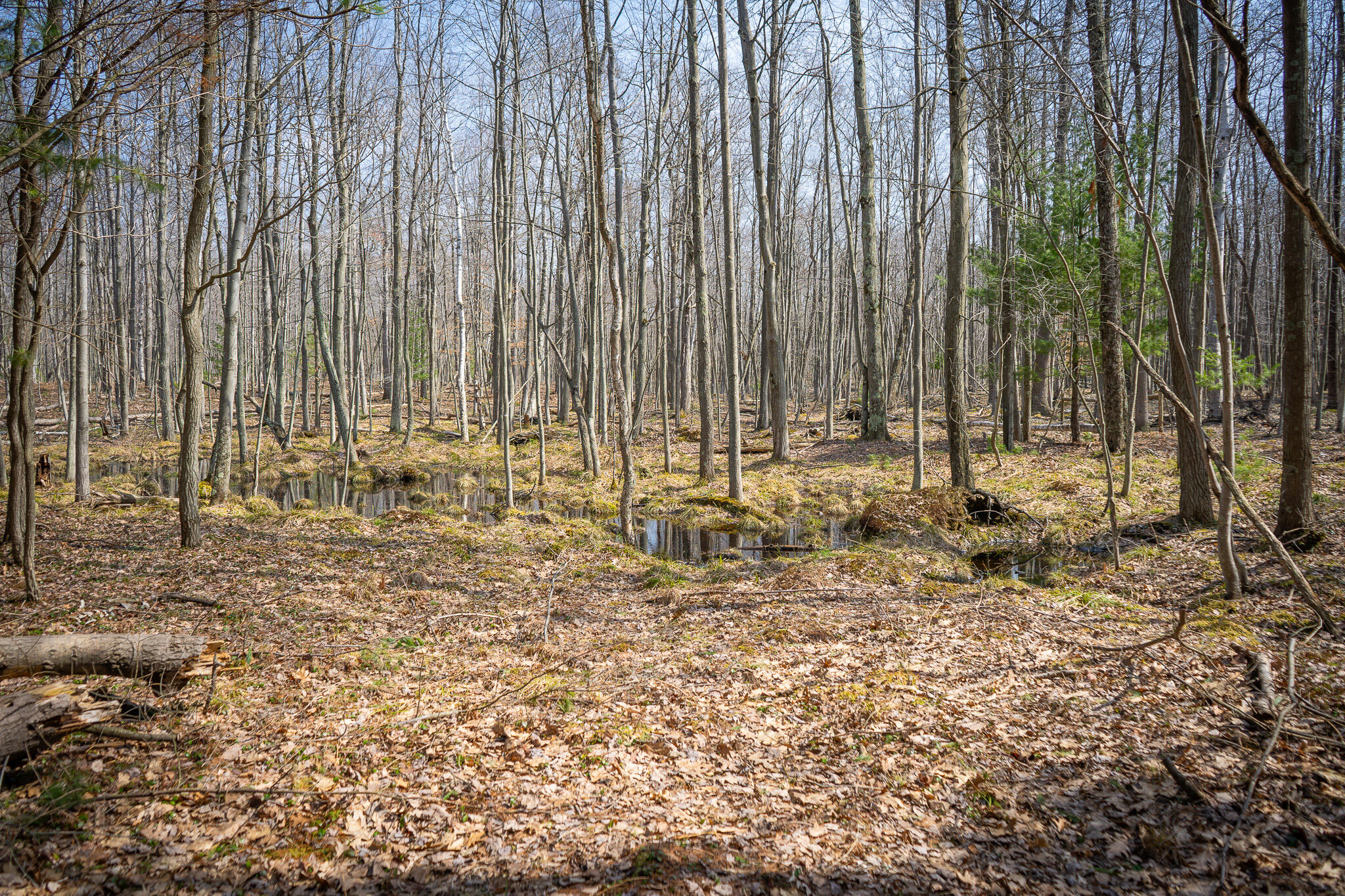 4986 N Ridge Road Property Photo 30