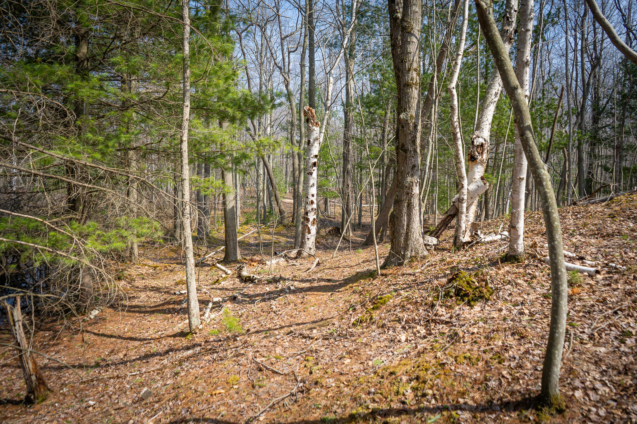 4986 N Ridge Road Property Photo 31