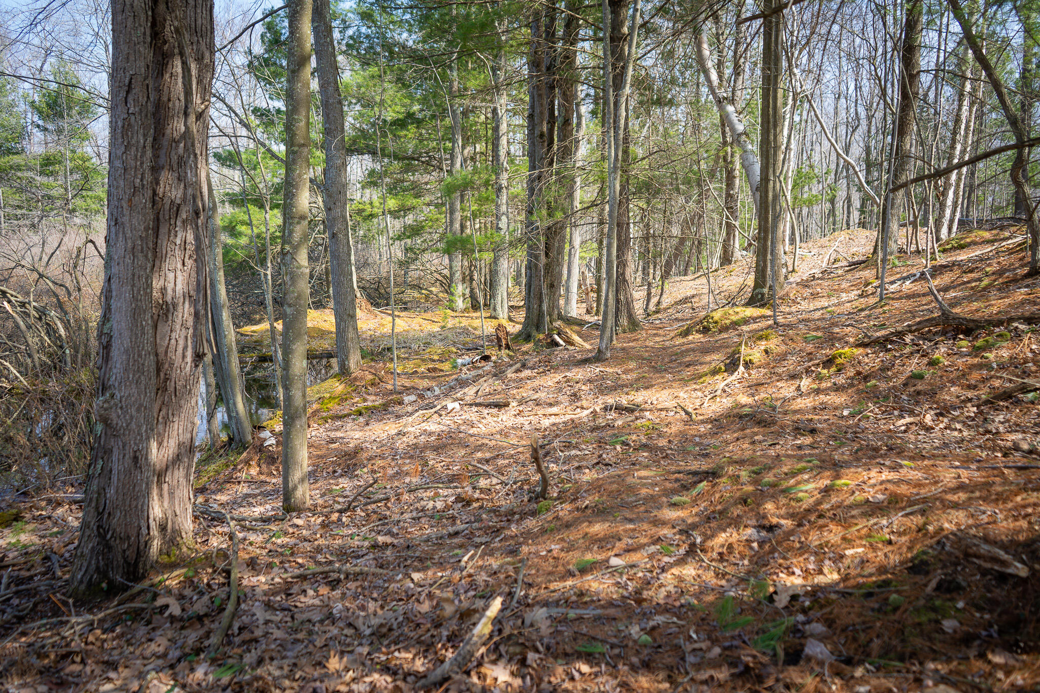 4986 N Ridge Road Property Photo 32