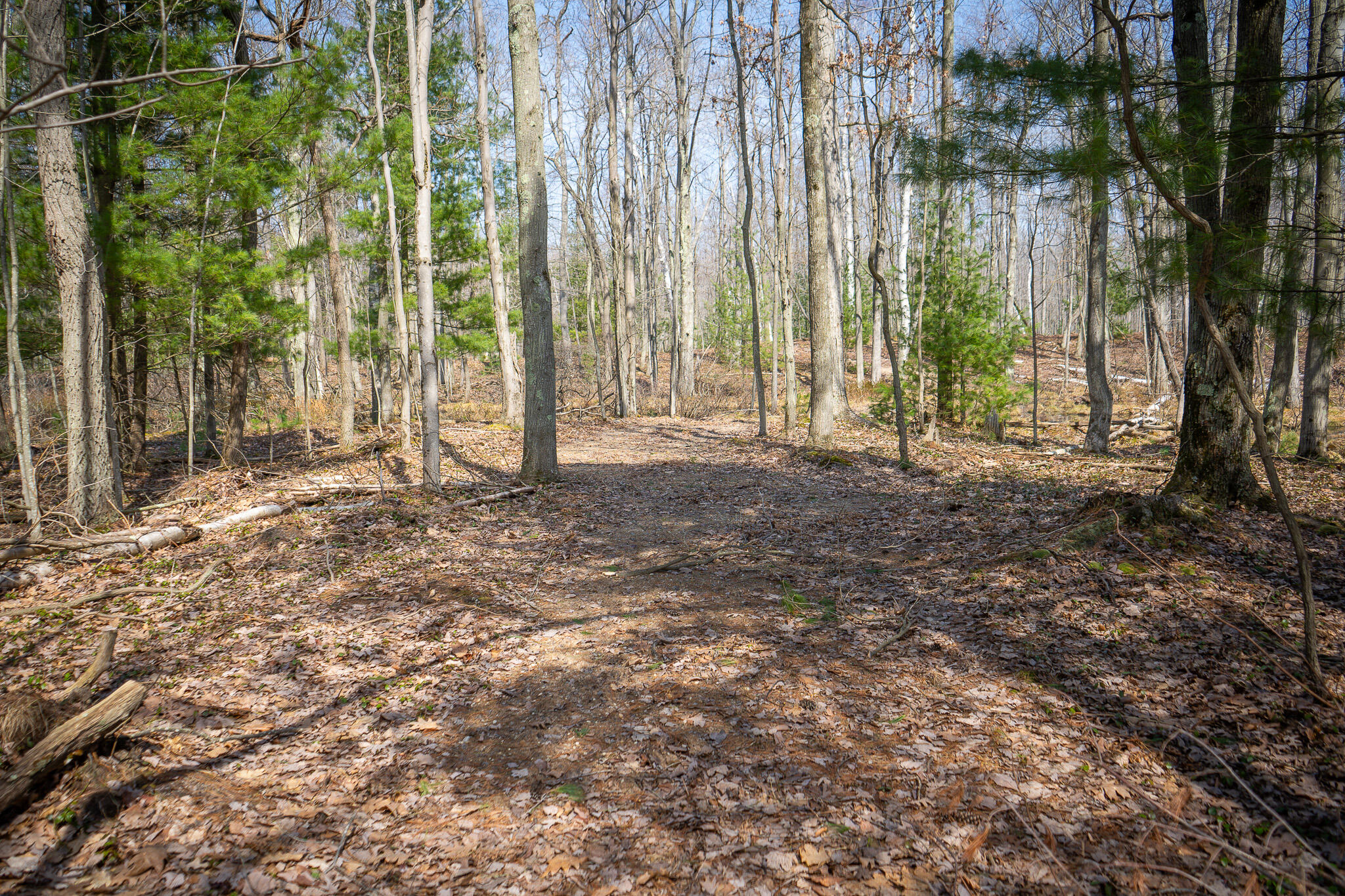 4986 N Ridge Road Property Photo 33
