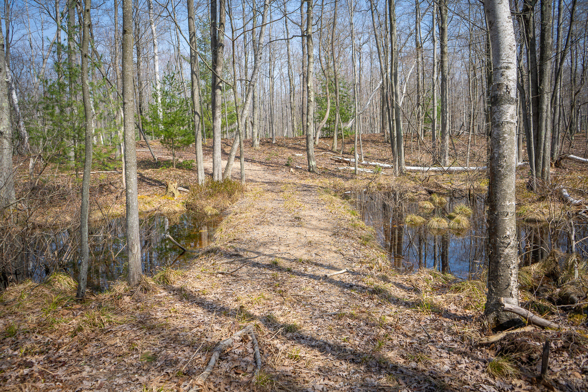 4986 N Ridge Road Property Photo 34