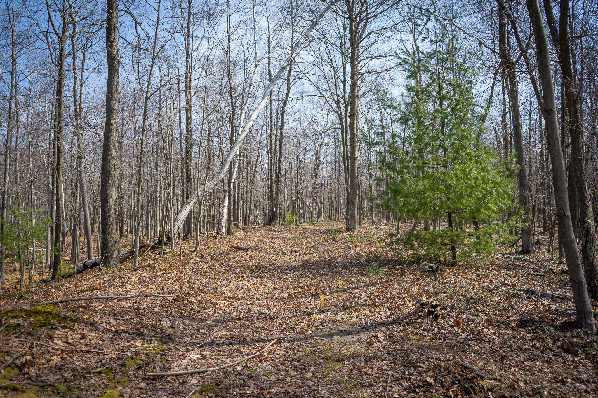 4986 N Ridge Road Property Photo 35