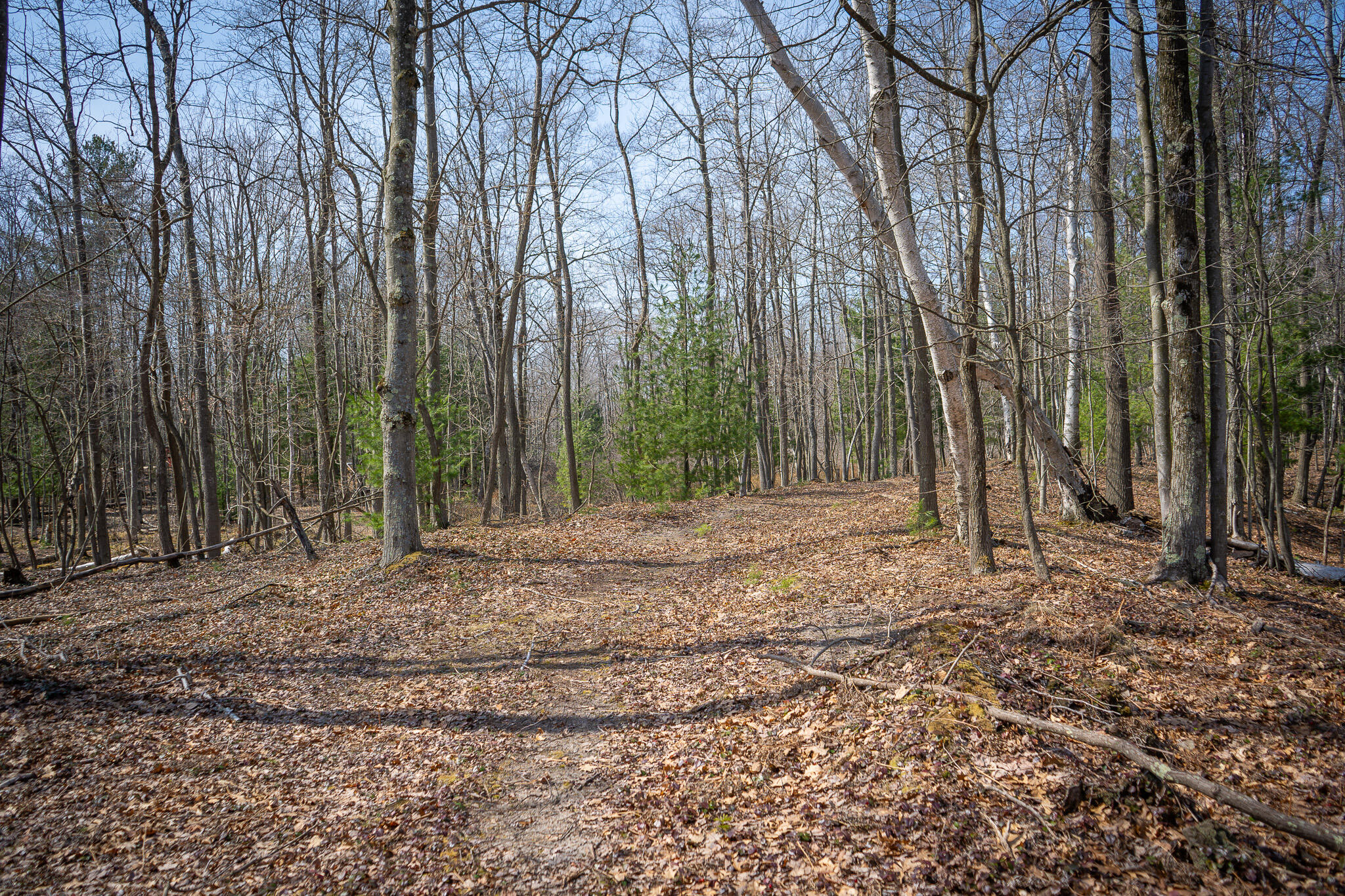 4986 N Ridge Road Property Photo 36