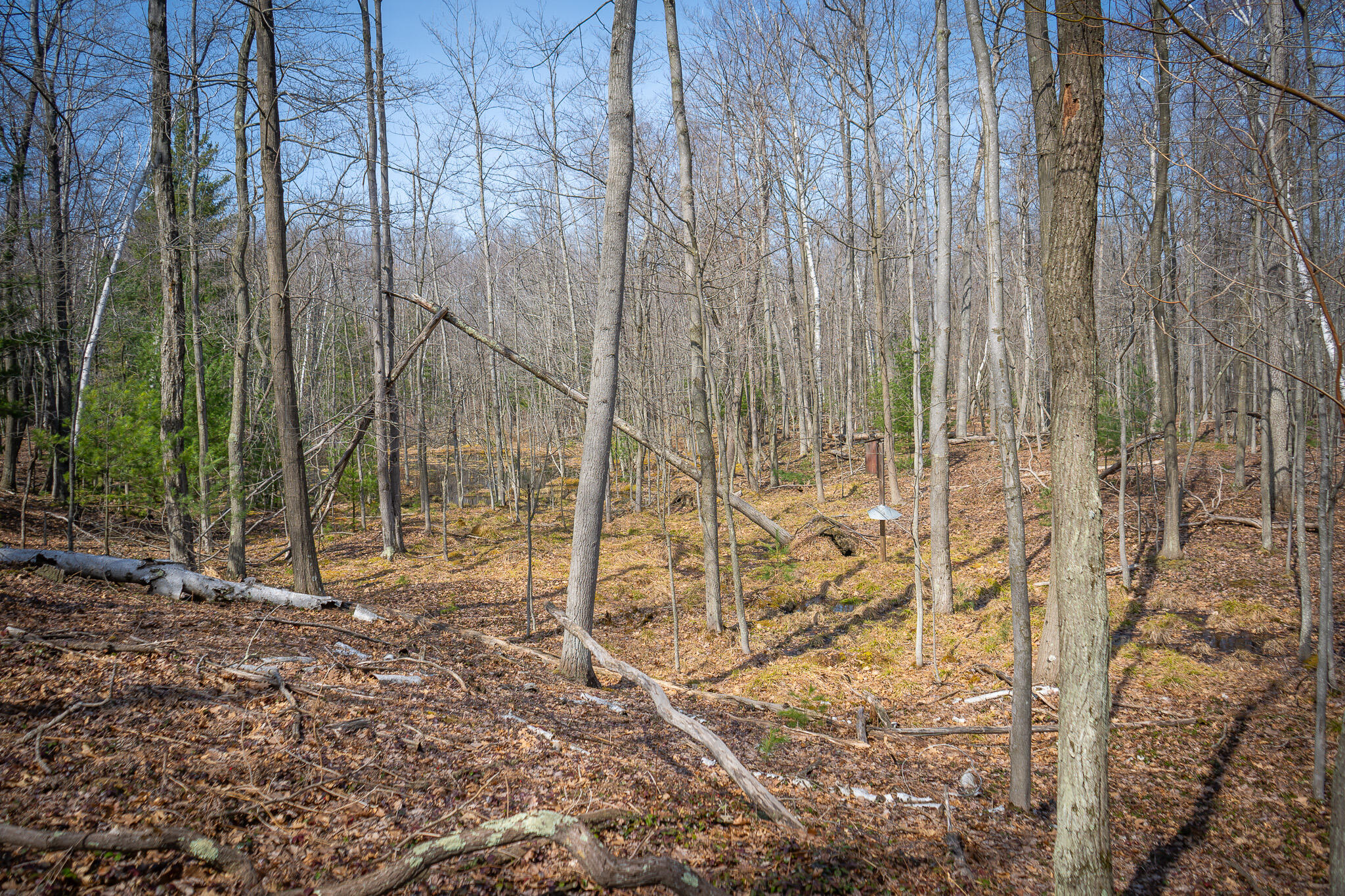 4986 N Ridge Road Property Photo 37