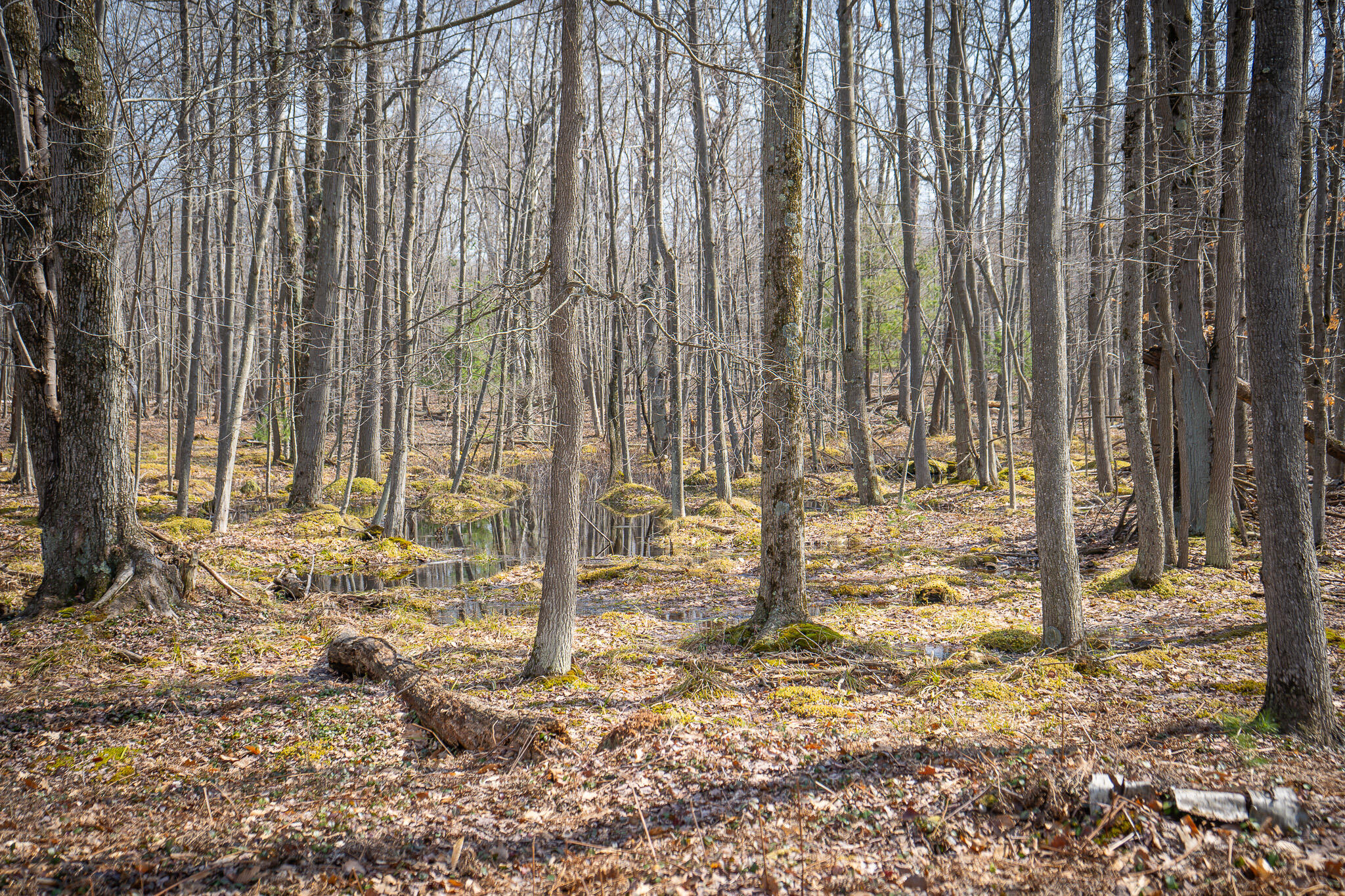 4986 N Ridge Road Property Photo 40
