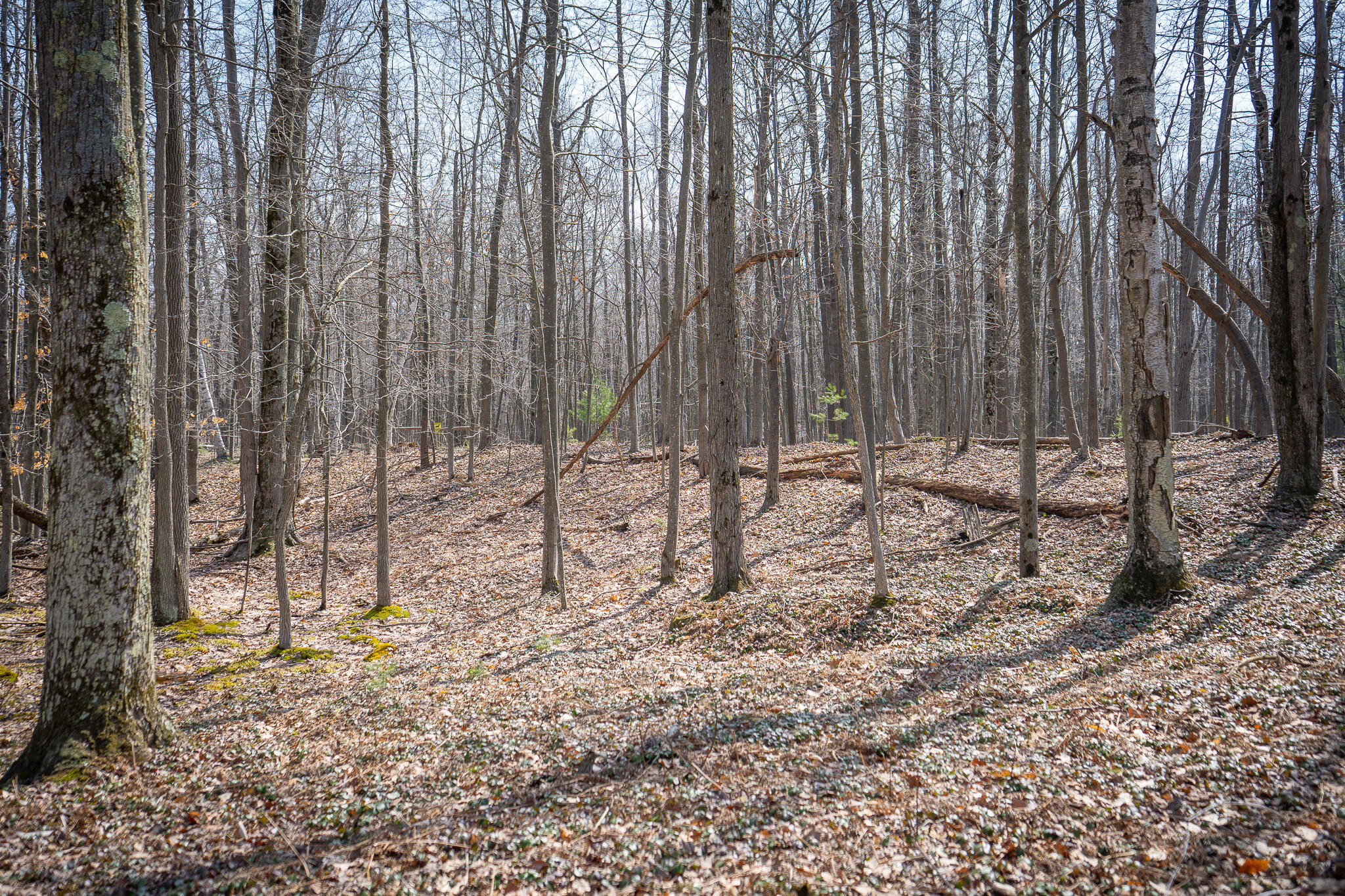 4986 N Ridge Road Property Photo 41