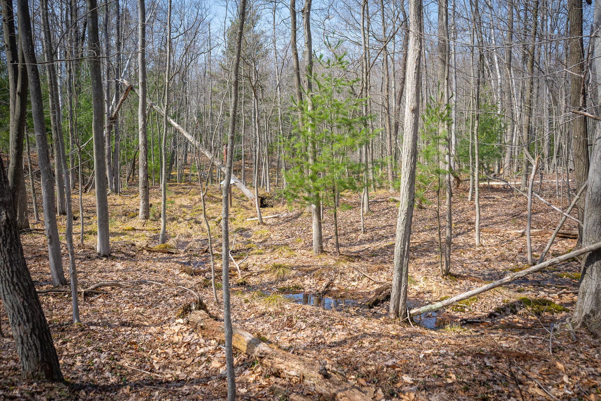4986 N Ridge Road Property Photo 42