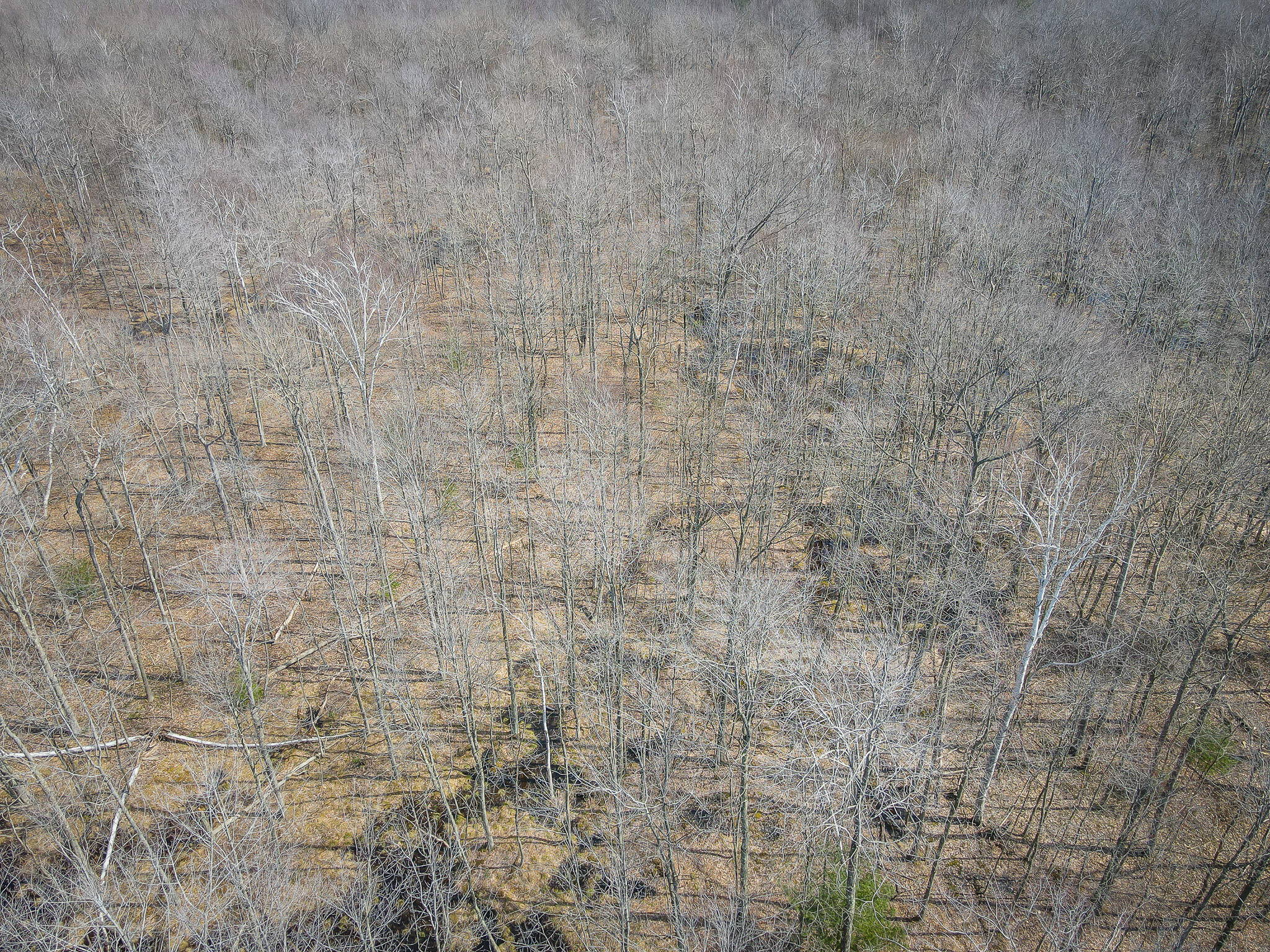 4986 N Ridge Road Property Photo 43