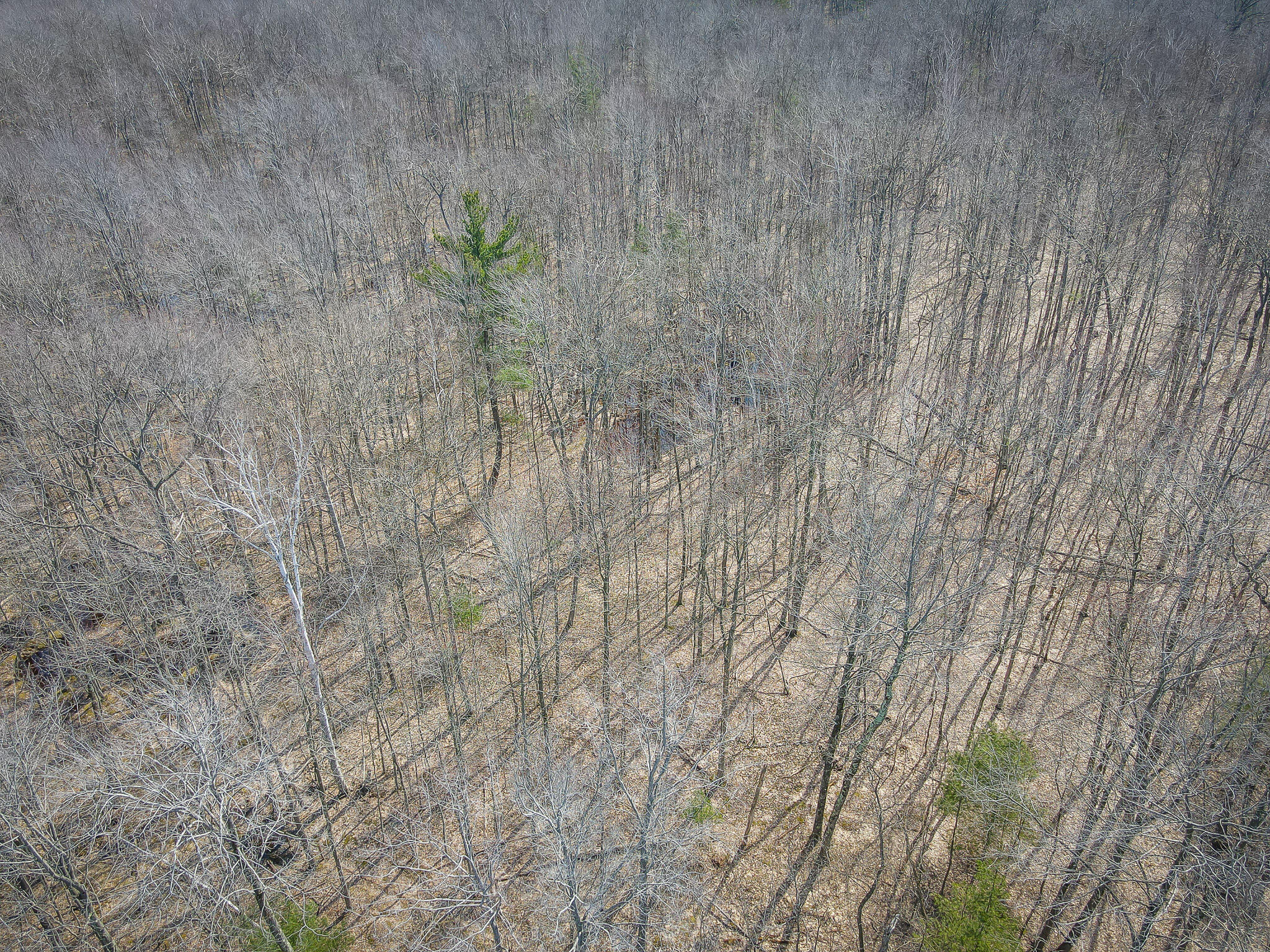 4986 N Ridge Road Property Photo 47