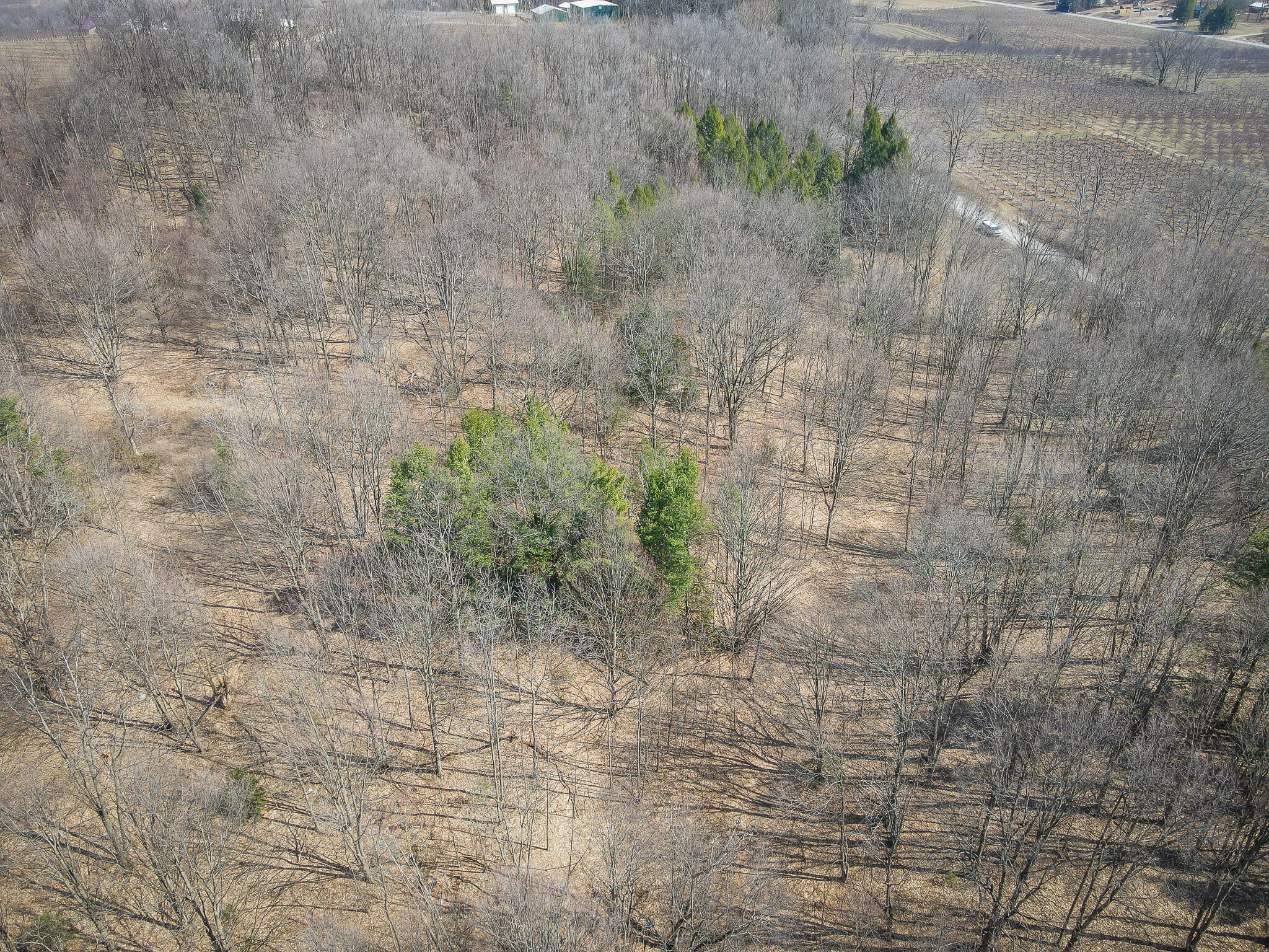 Parcel C 9.97 Acres W Grant Road Property Photo 3