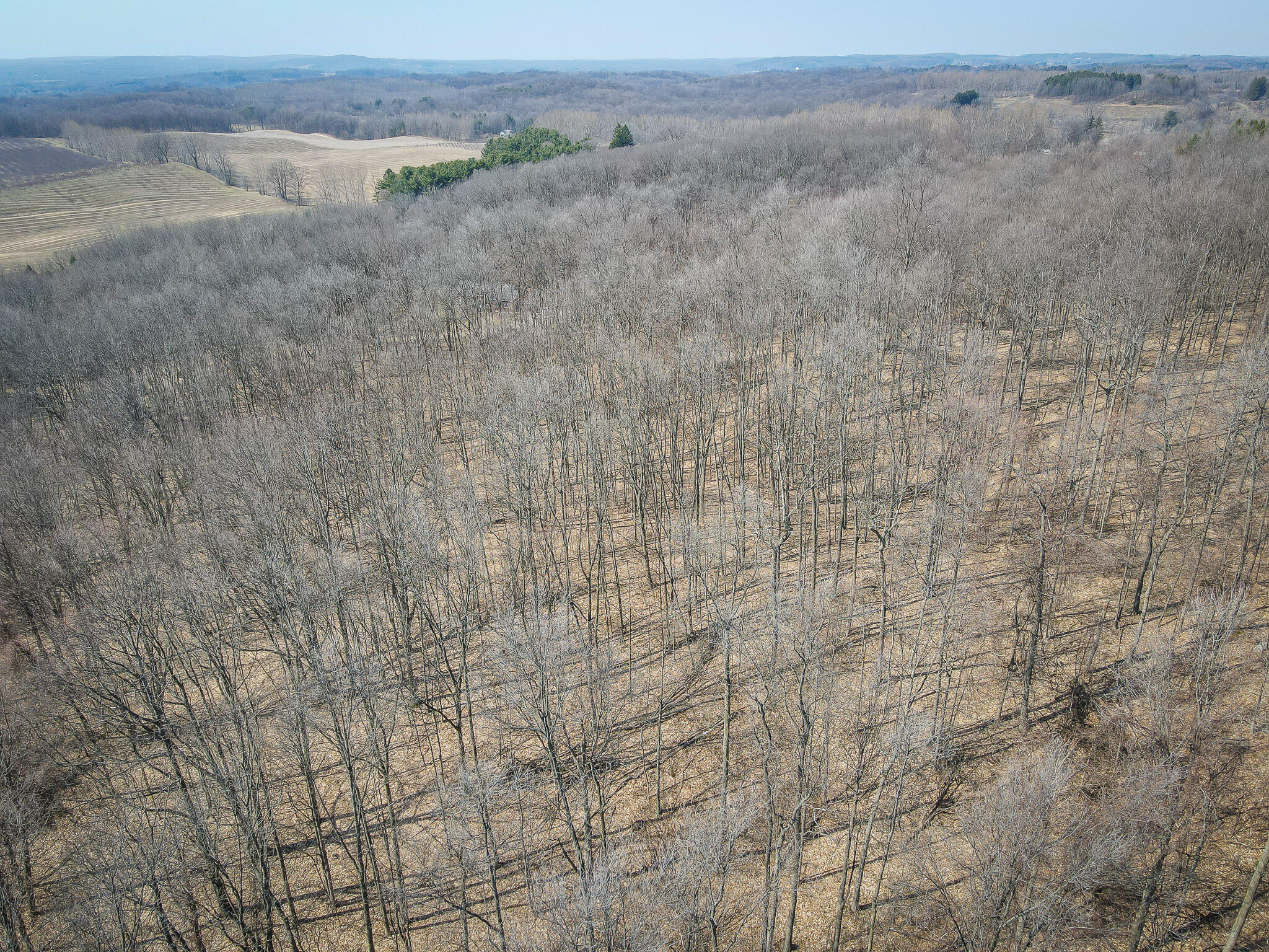 Parcel C 9.97 Acres W Grant Road Property Photo 4